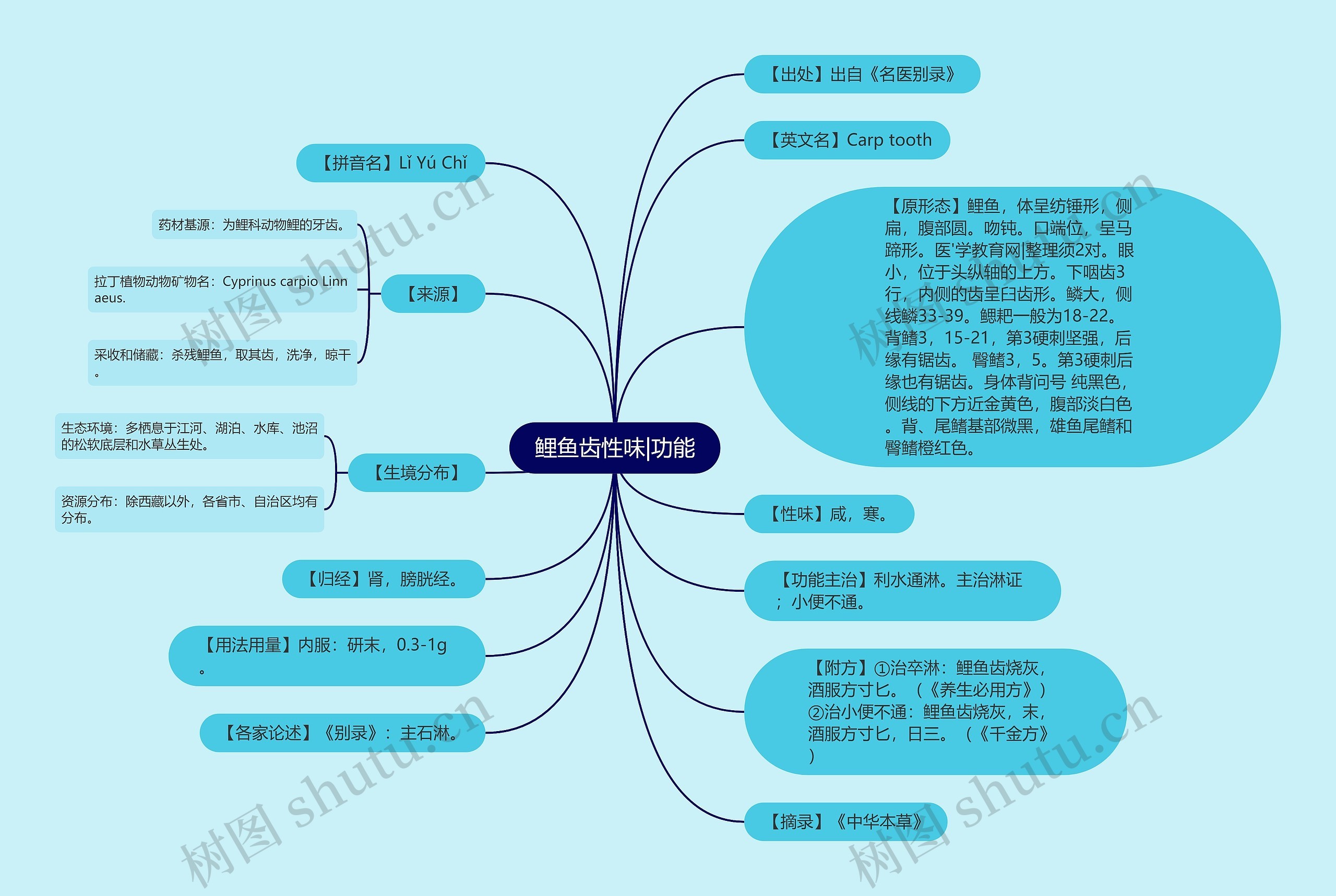 鲤鱼齿性味|功能 鲤鱼齿性味|功能