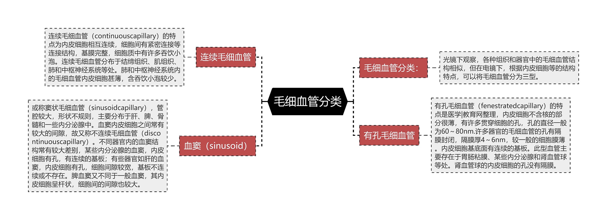 毛细血管分类