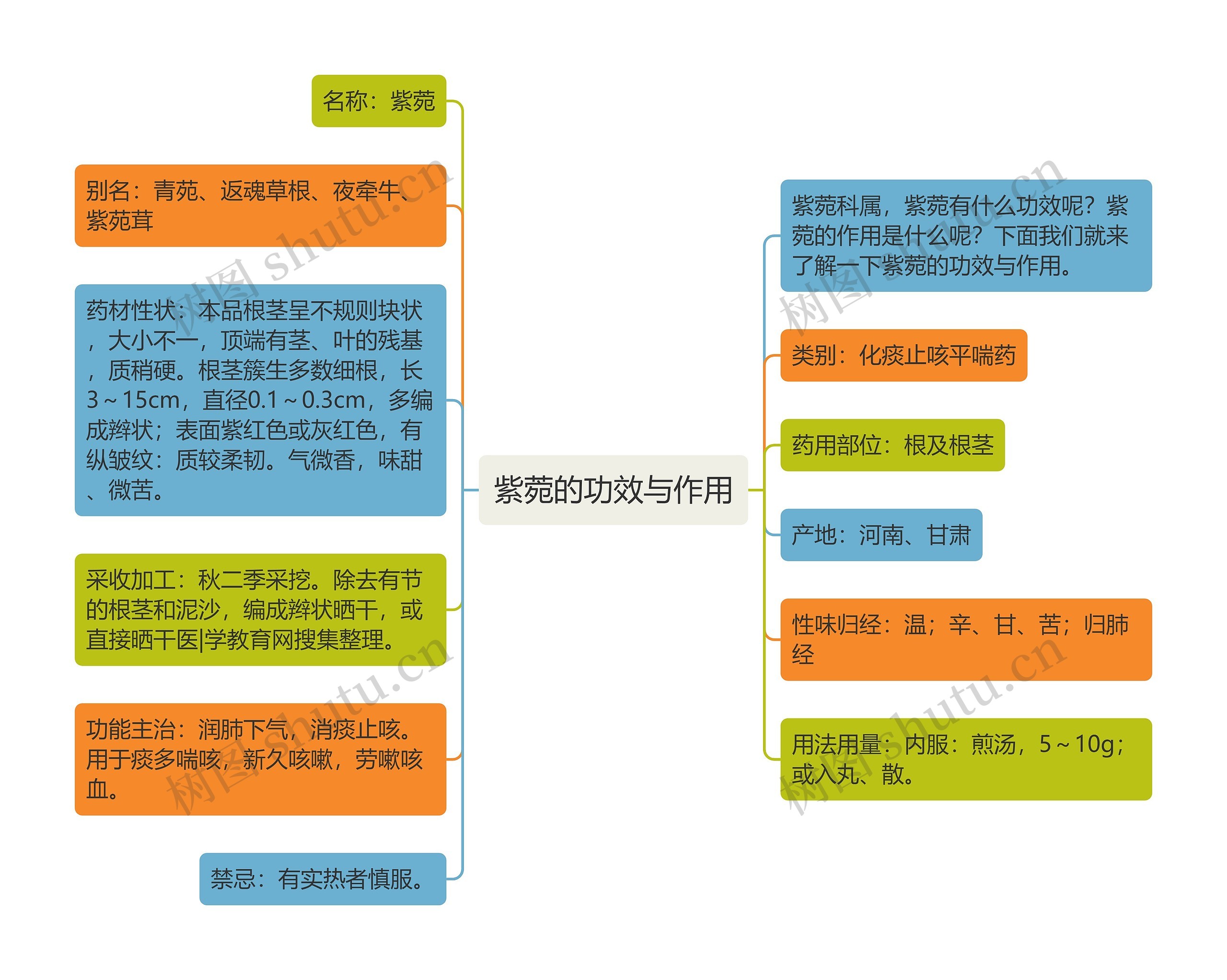 紫菀的功效与作用思维导图