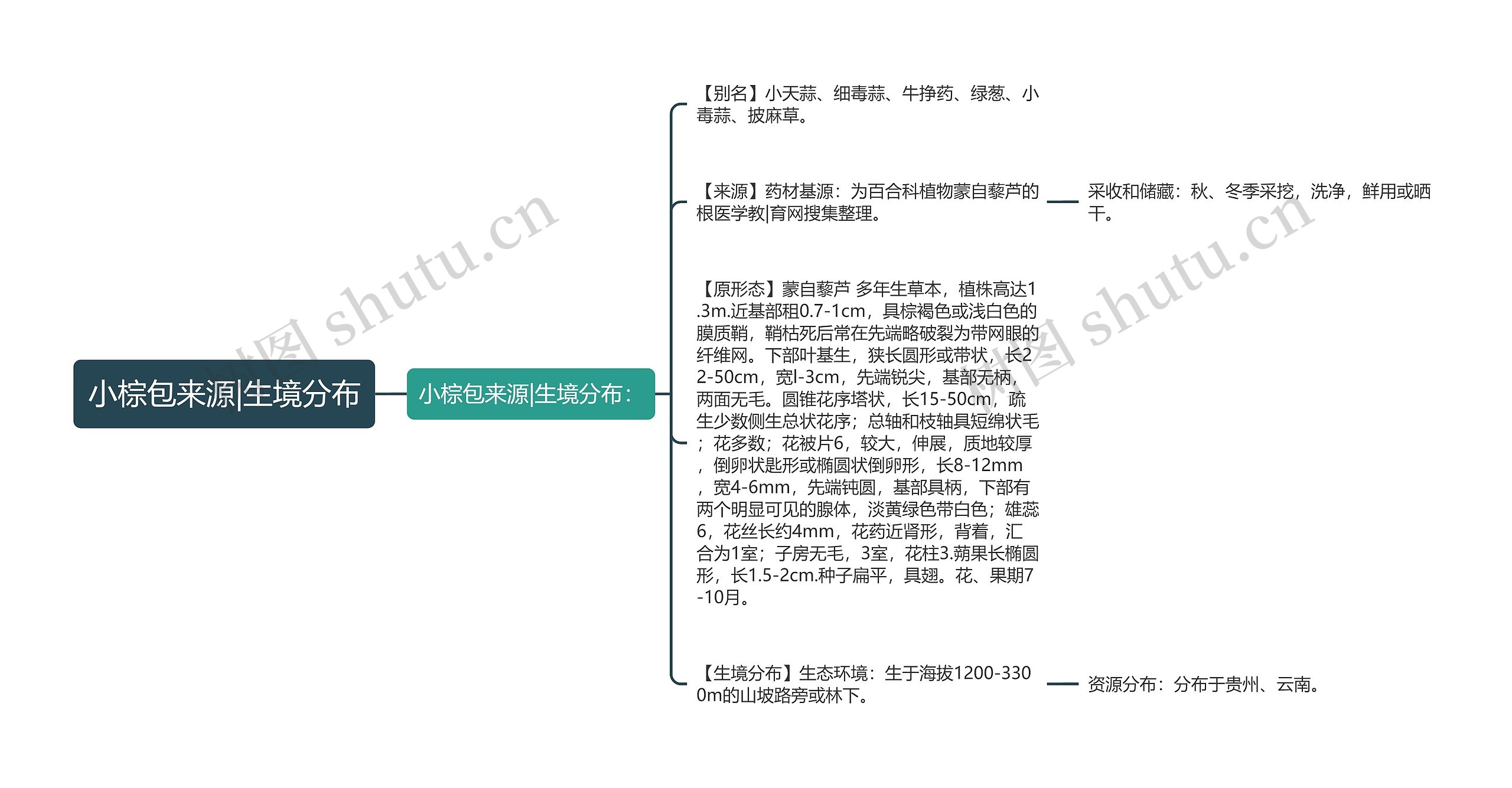 小棕包来源|生境分布思维导图