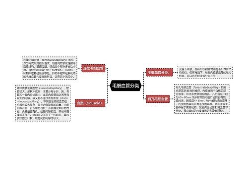 毛细血管分类