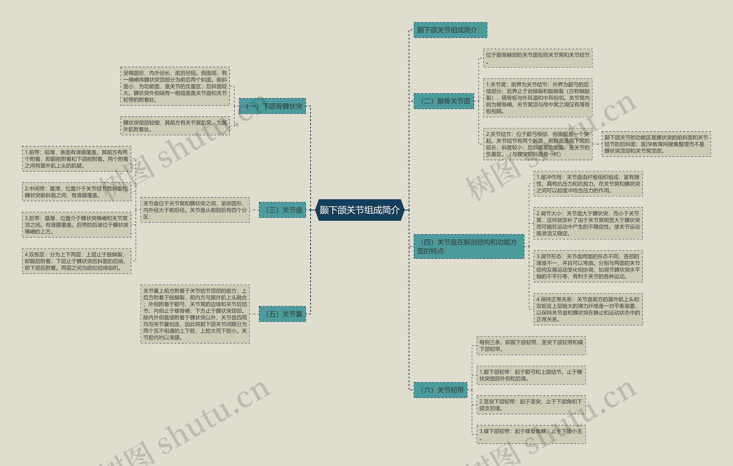 颞下颌关节组成简介 颞下颌关节组成简介