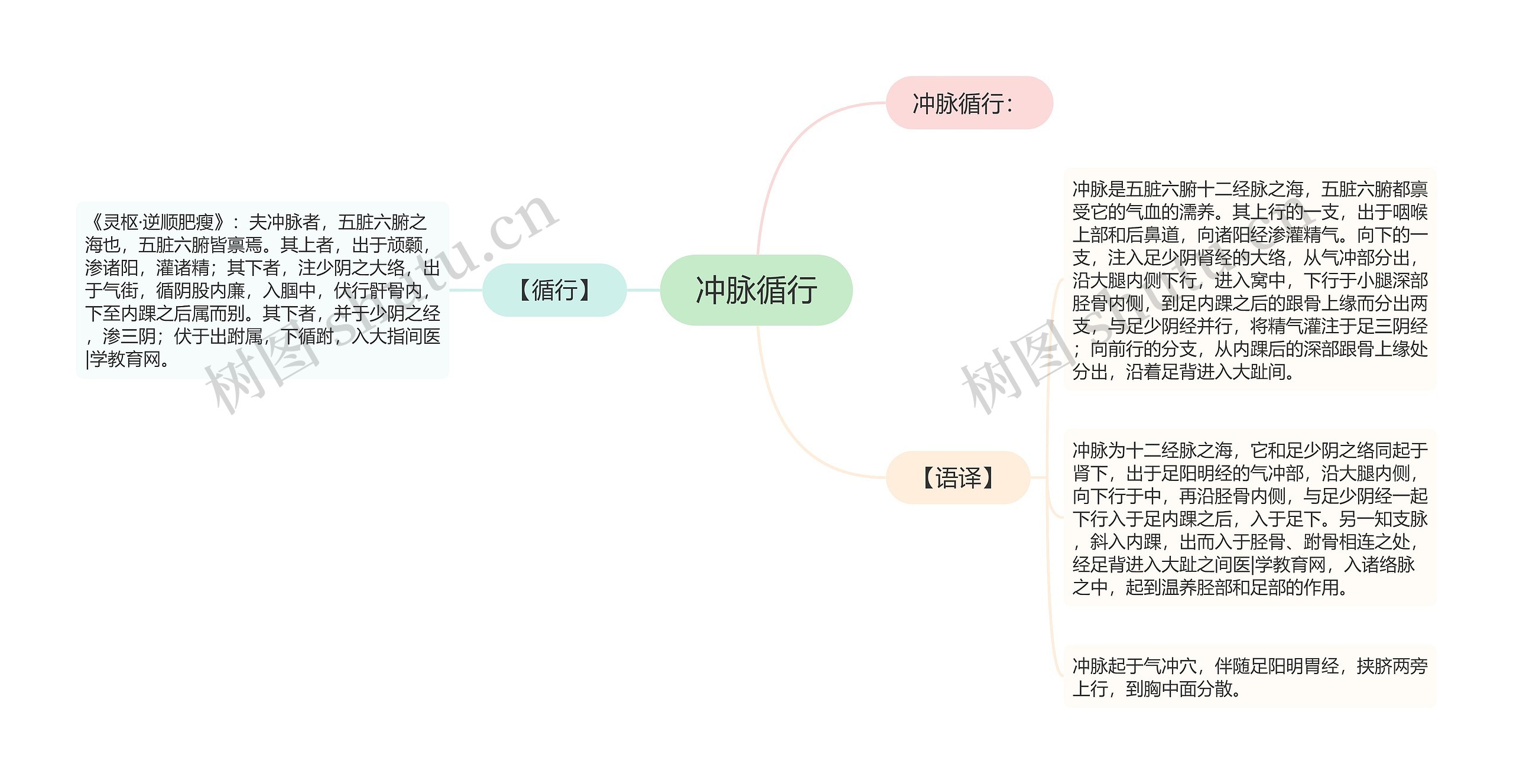 冲脉循行