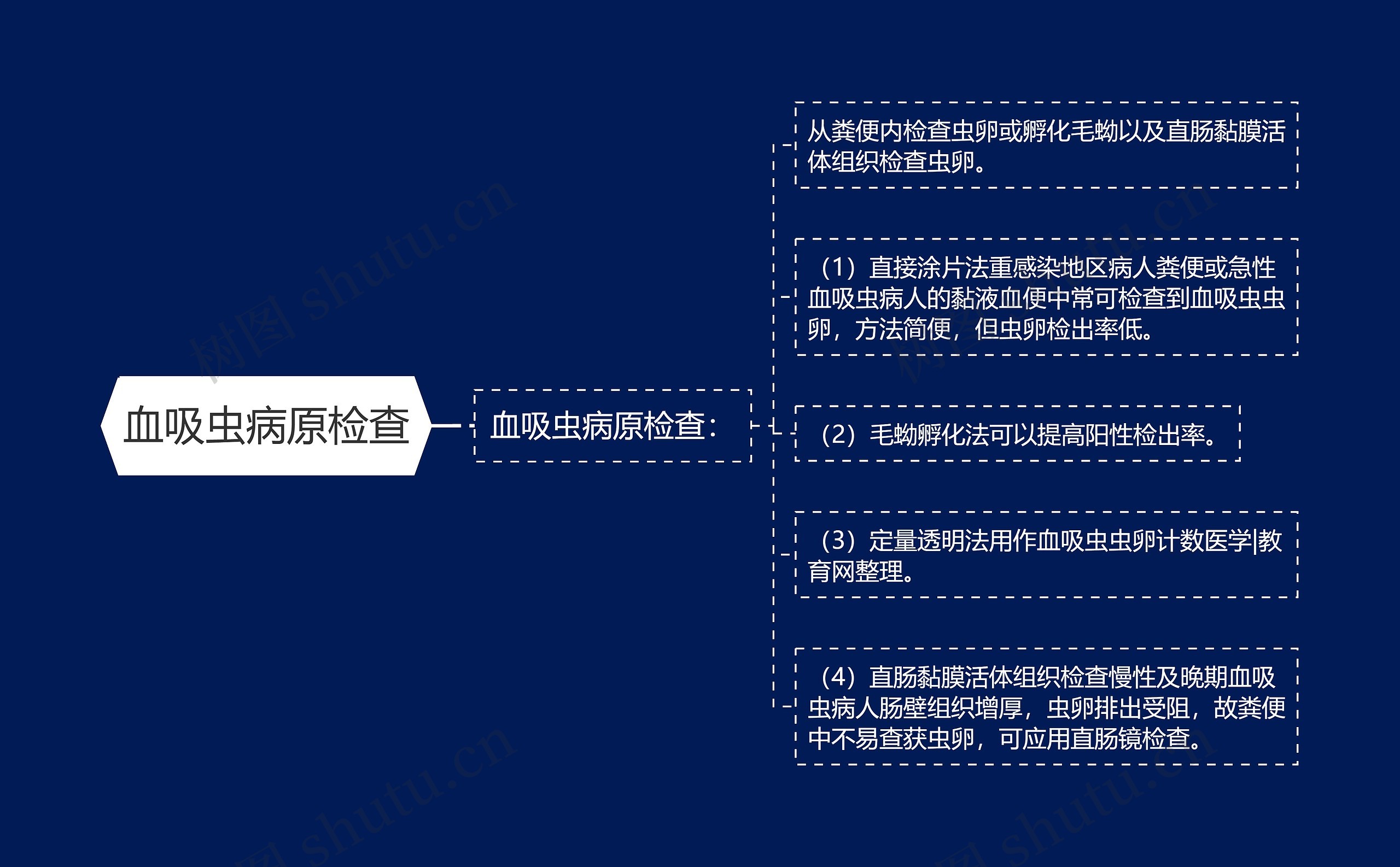 血吸虫病原检查 血吸虫病原检查