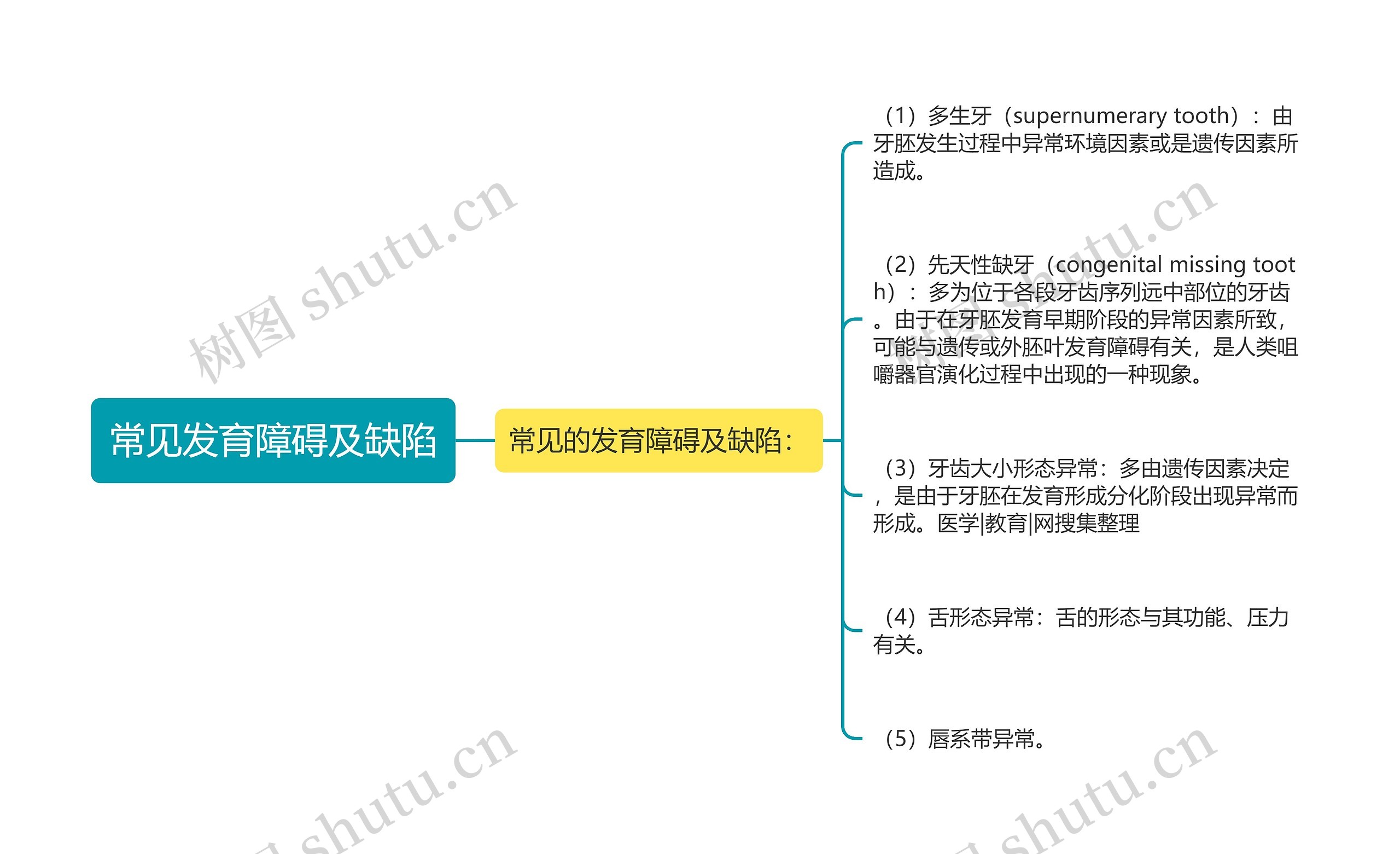 常见发育障碍及缺陷思维导图