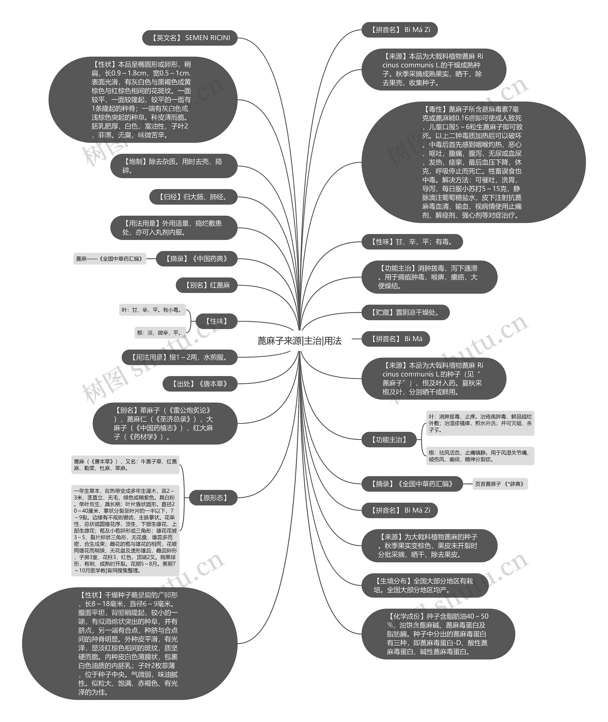 蓖麻子来源|主治|用法思维导图