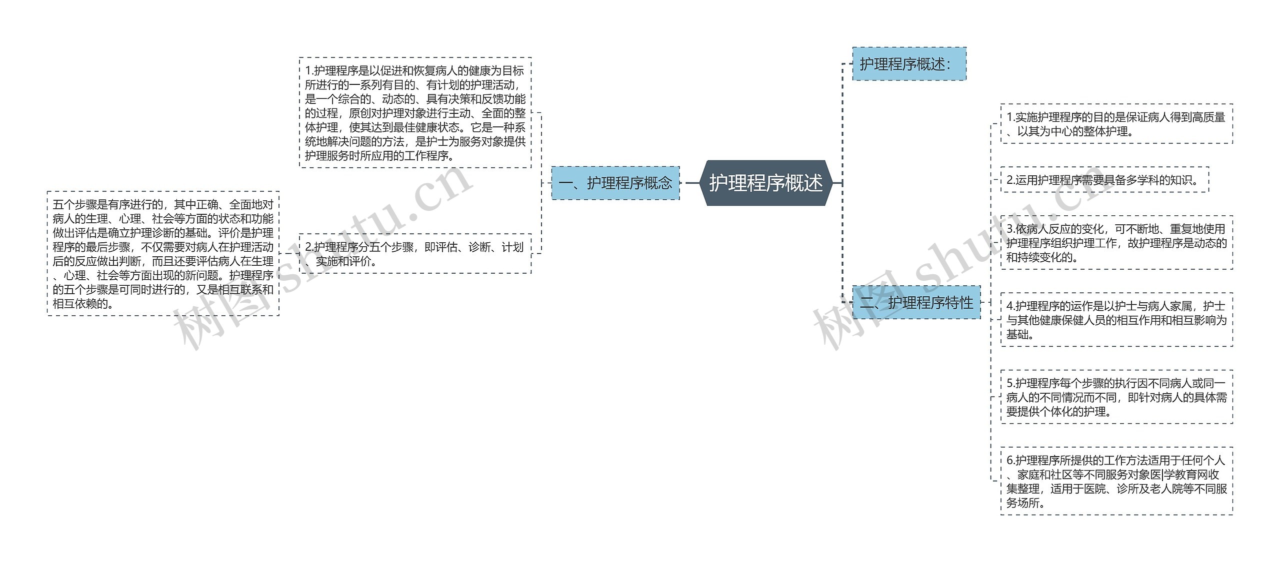 护理程序概述