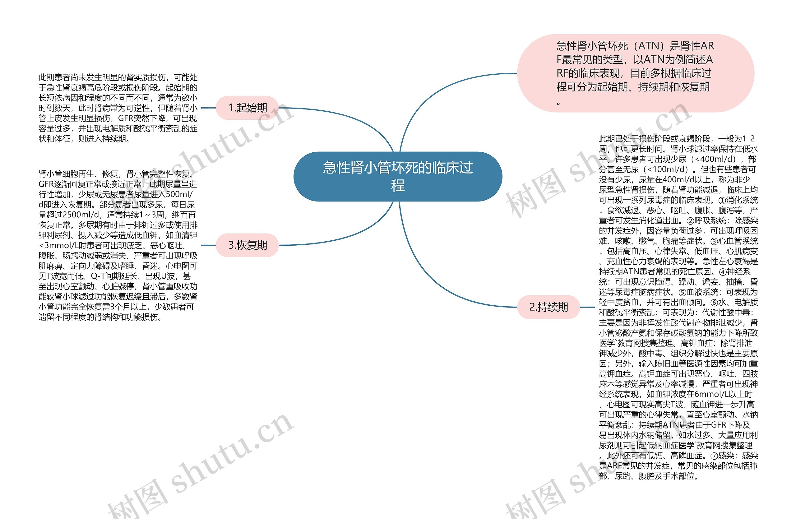 急性肾小管坏死的临床过程