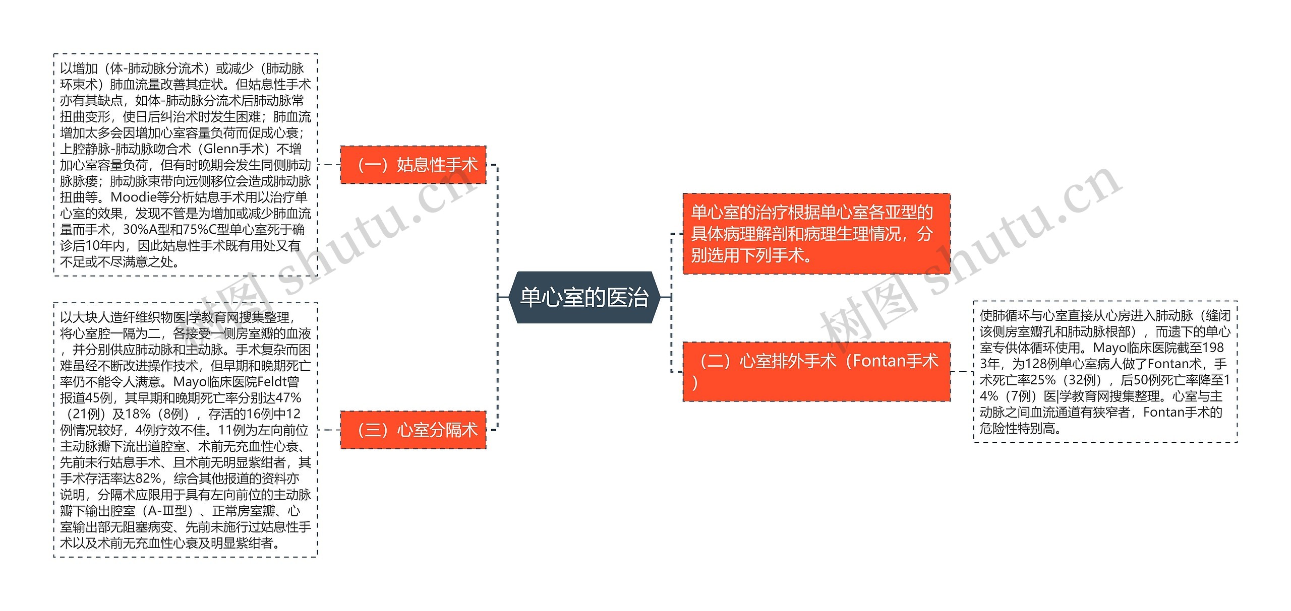 单心室的医治思维导图