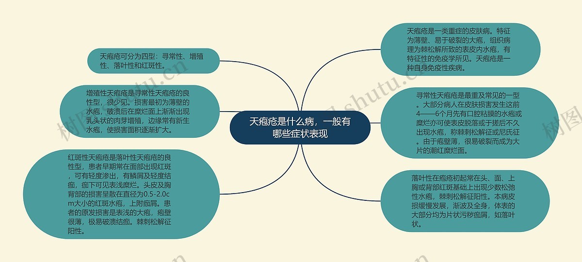 天疱疮是什么病，一般有哪些症状表现思维导图_编号p6764826-TreeMind树图