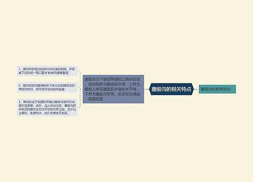 腹股沟的相关特点