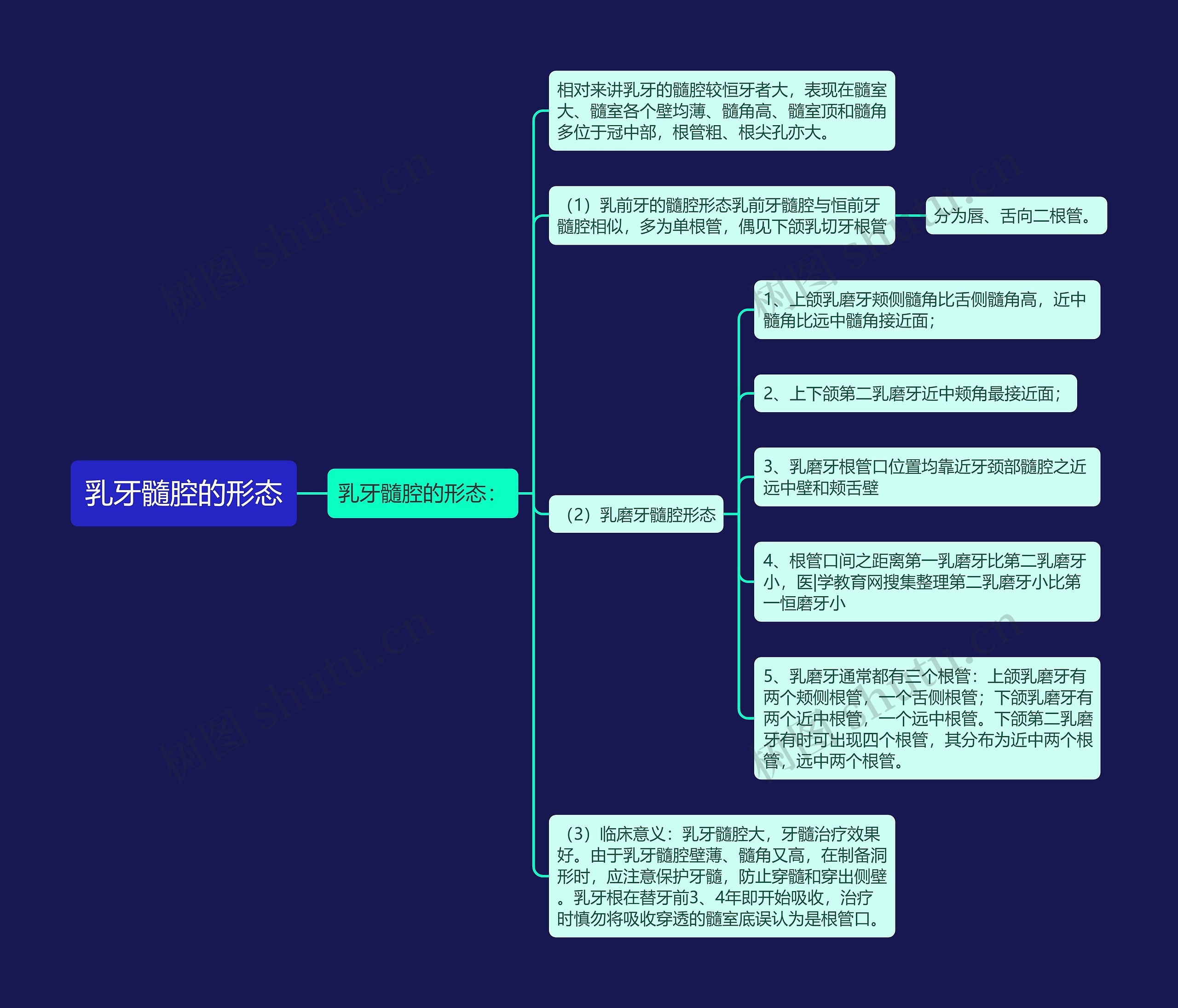 乳牙髓腔的形态思维导图