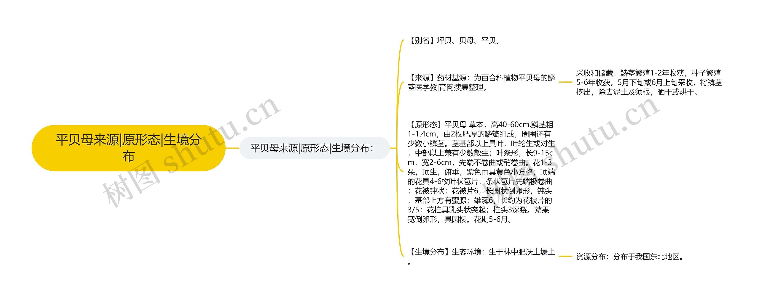 平贝母来源|原形态|生境分布