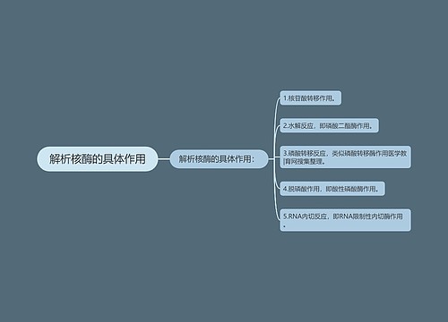 解析核酶的具体作用