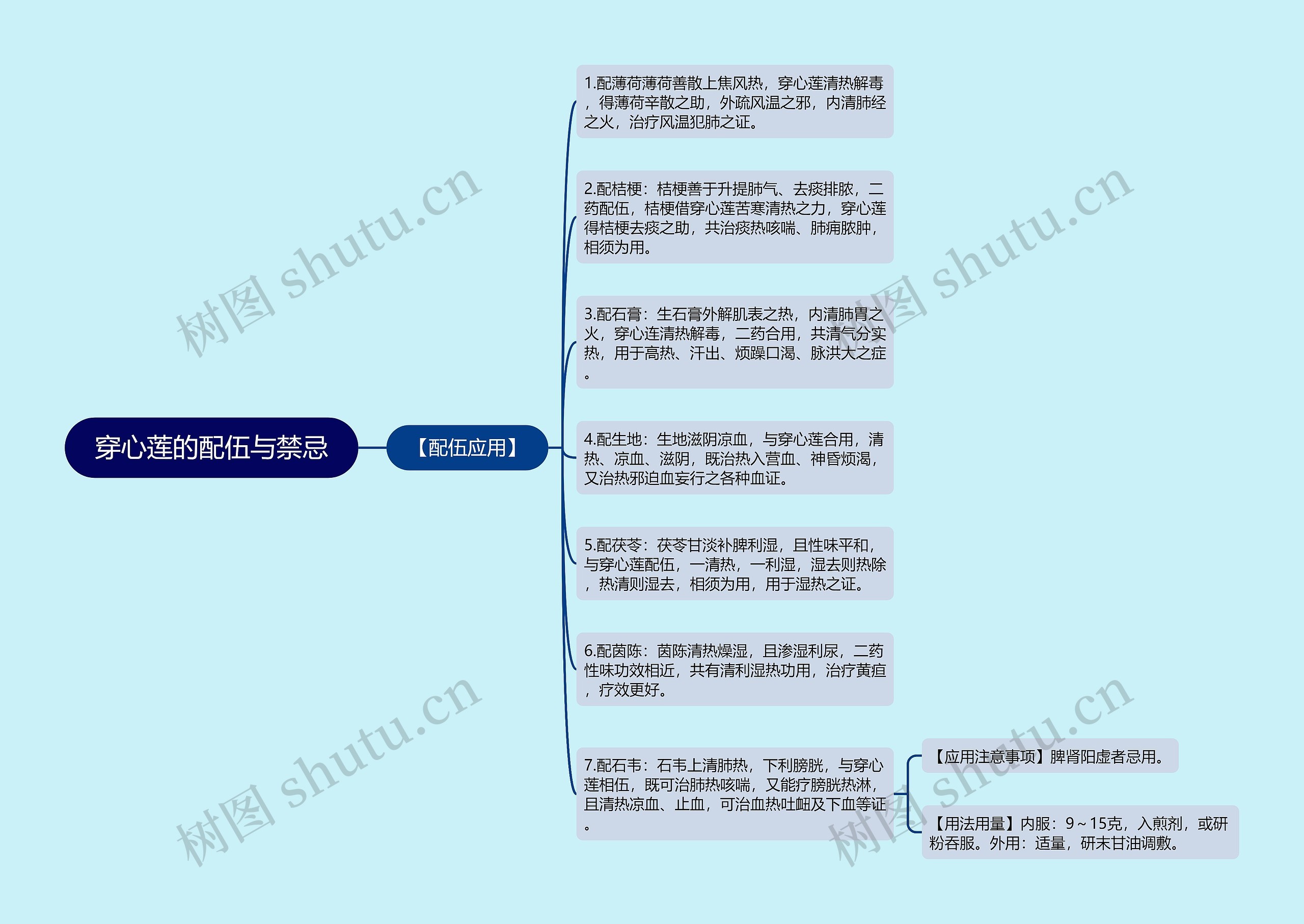 穿心莲的配伍与禁忌