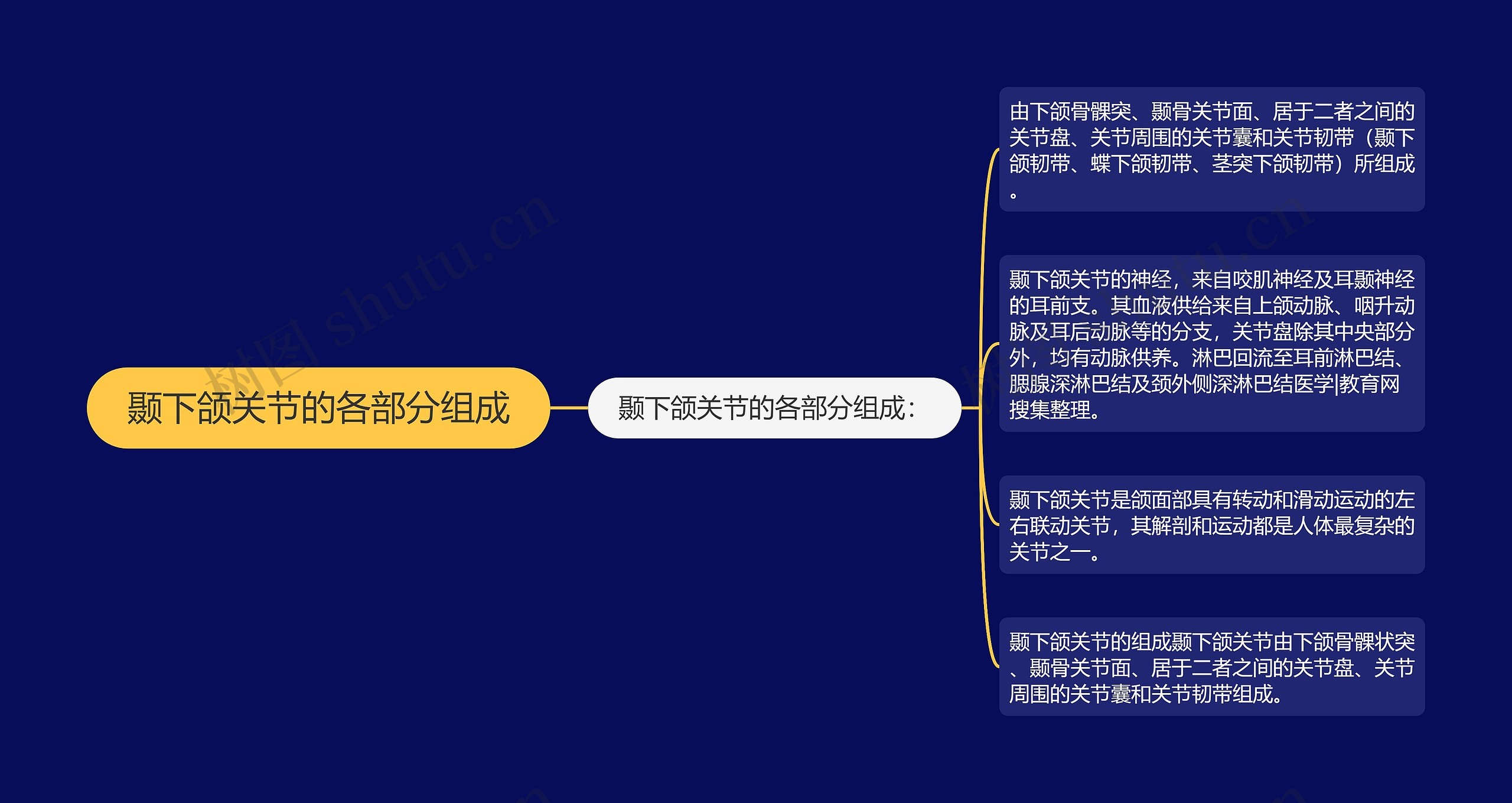 颞下颌关节的各部分组成 颞下颌关节的各部分组成
