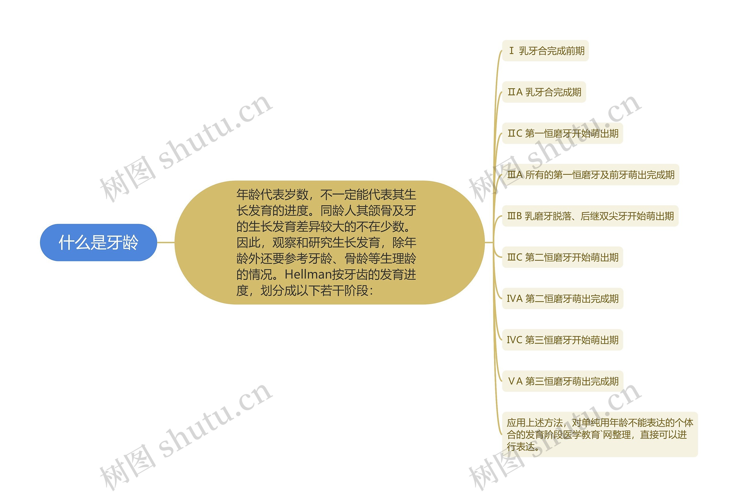 什么是牙龄