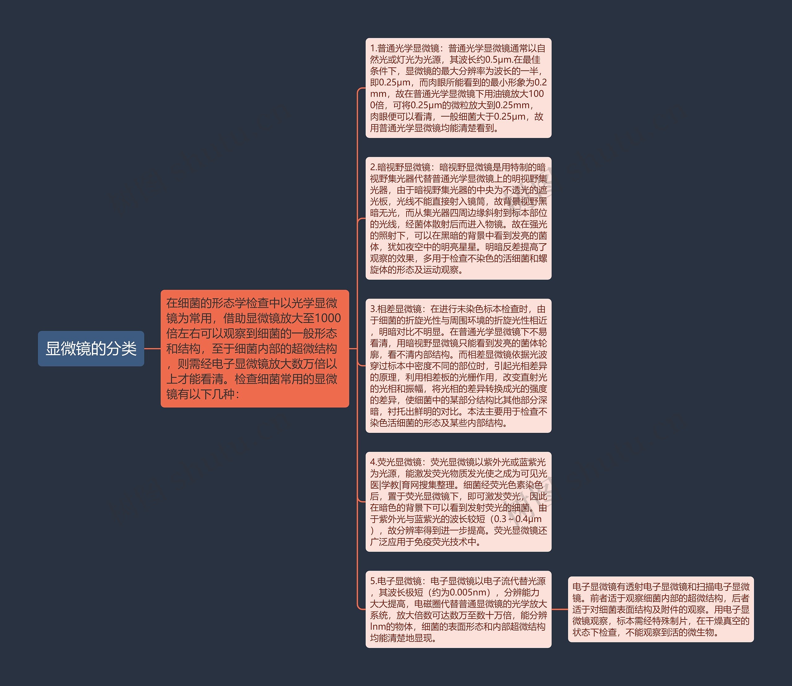 显微镜的分类思维导图