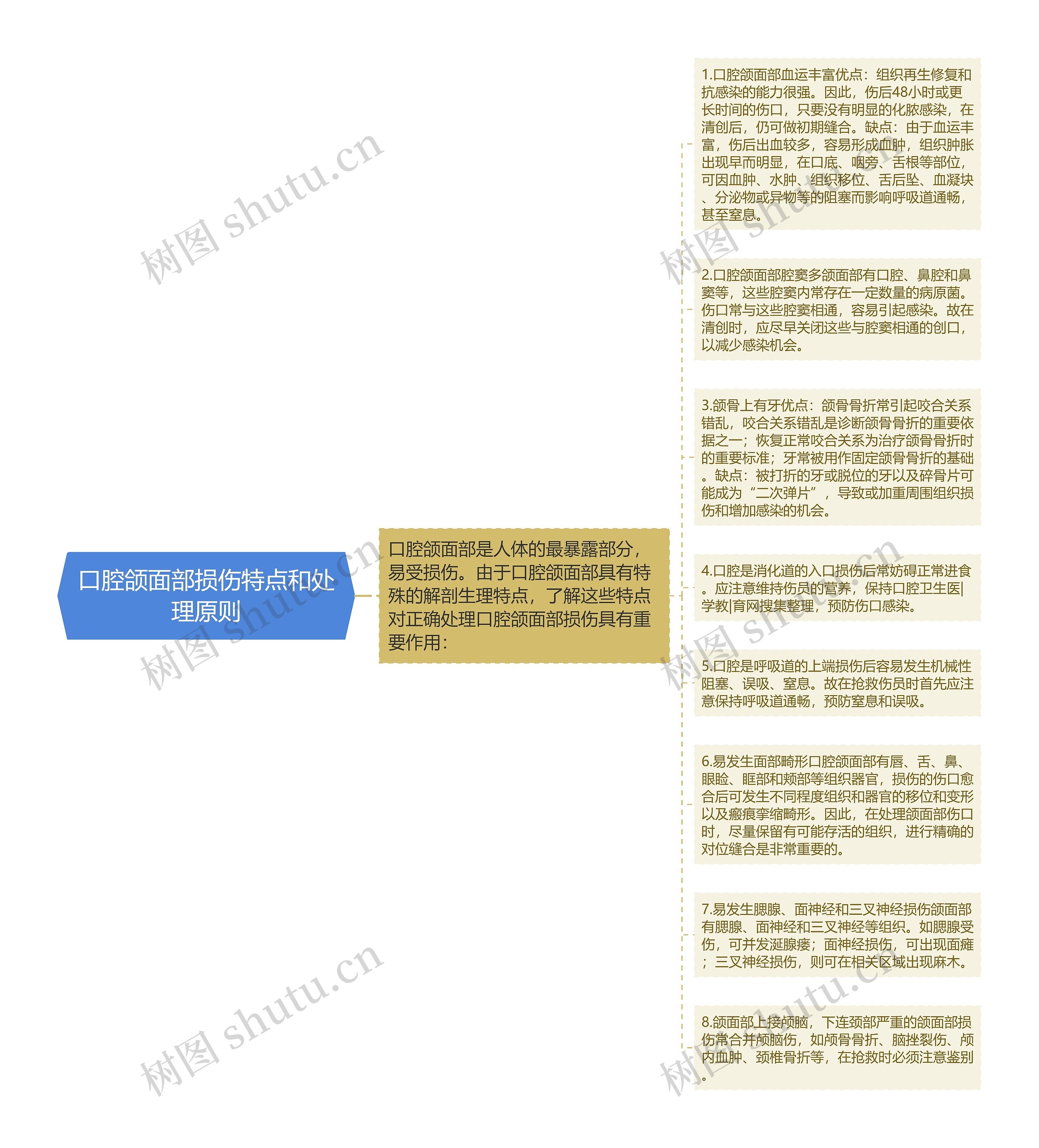 口腔颌面部损伤特点和处理原则思维导图