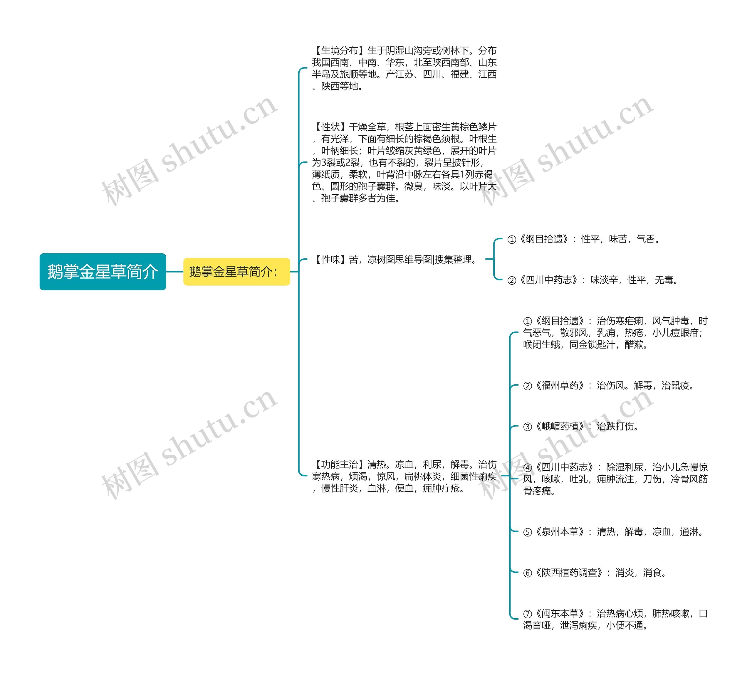 鹅掌金星草简介思维导图