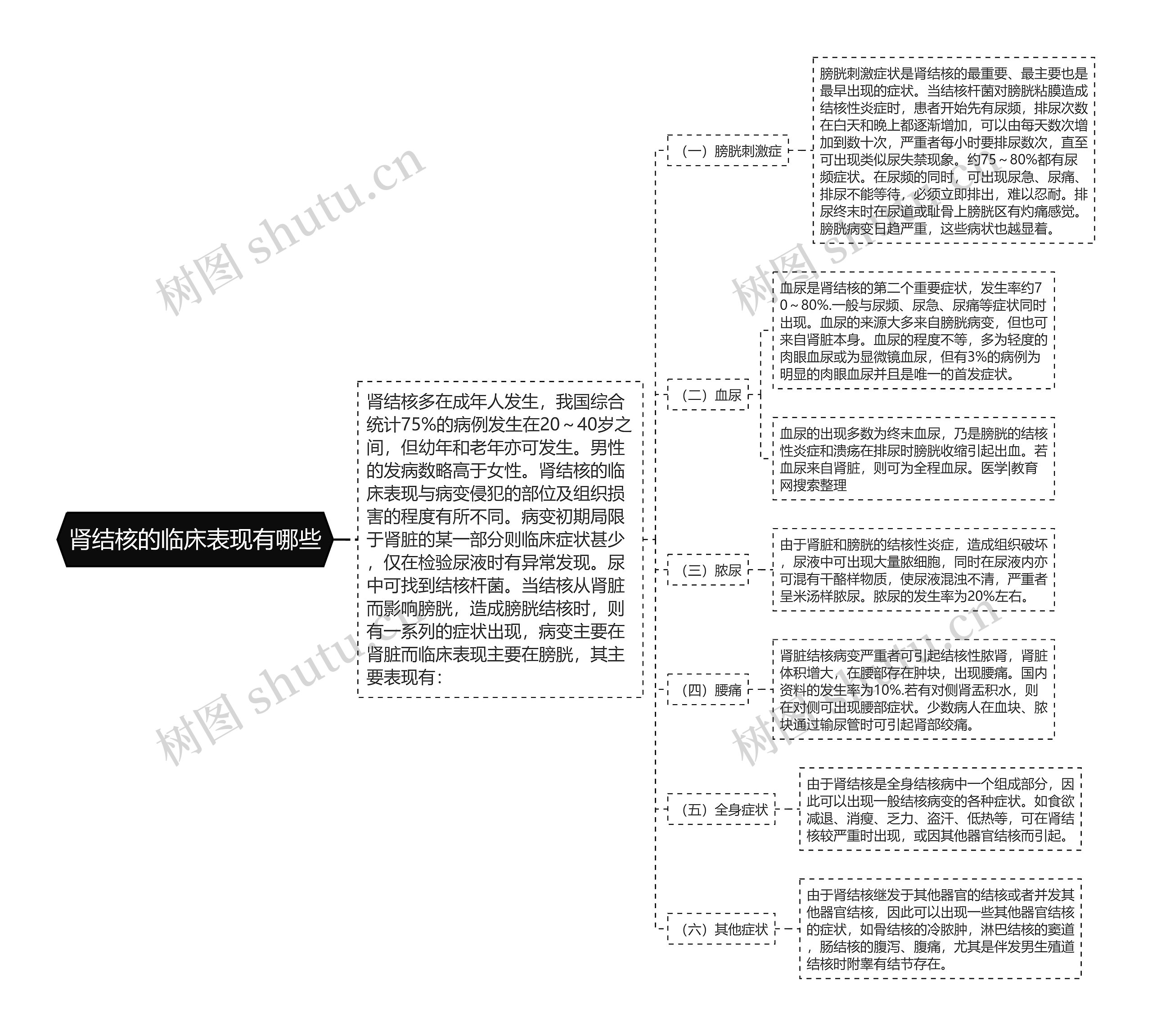 肾结核的临床表现有哪些思维导图