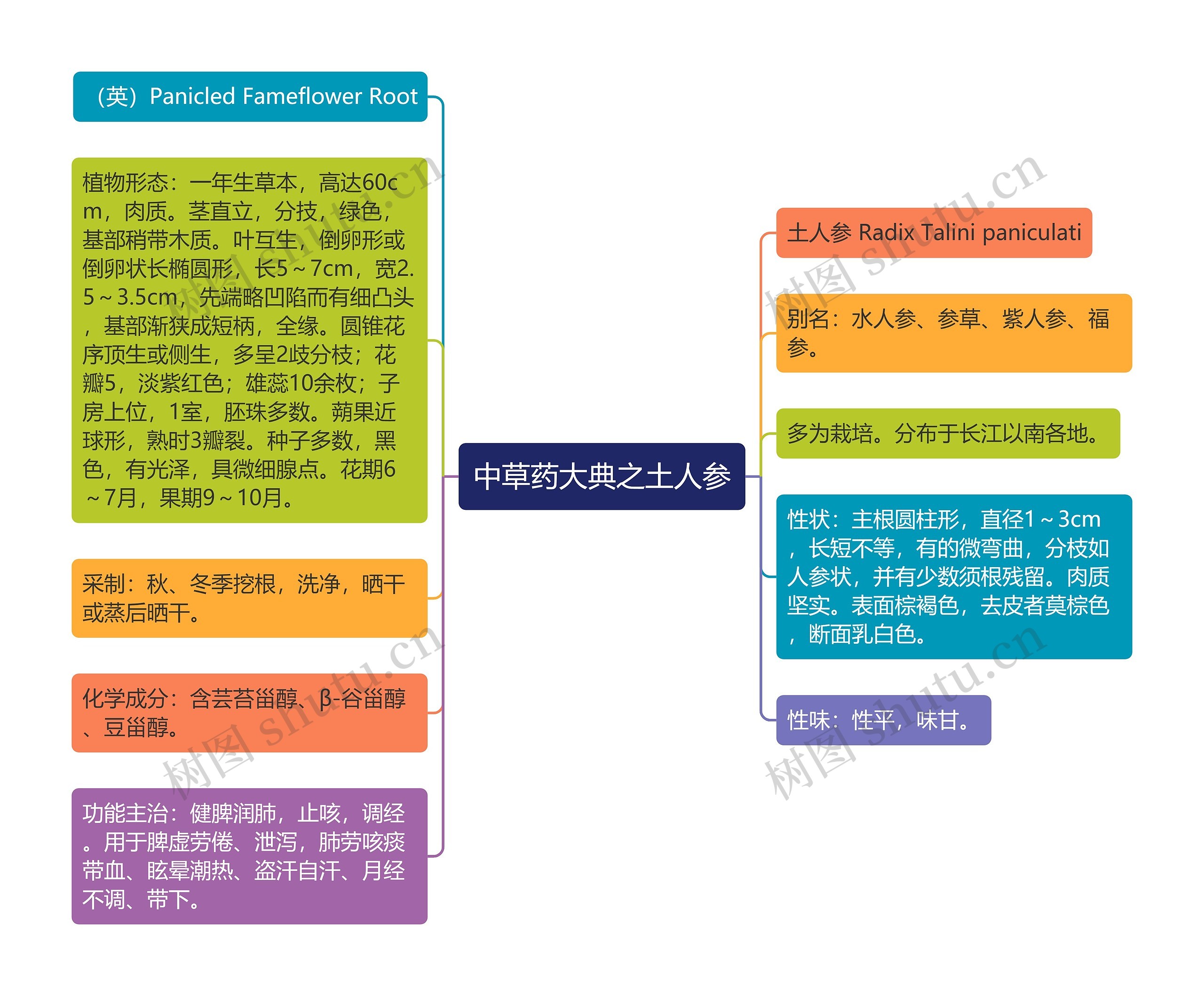 中草药大典之土人参思维导图