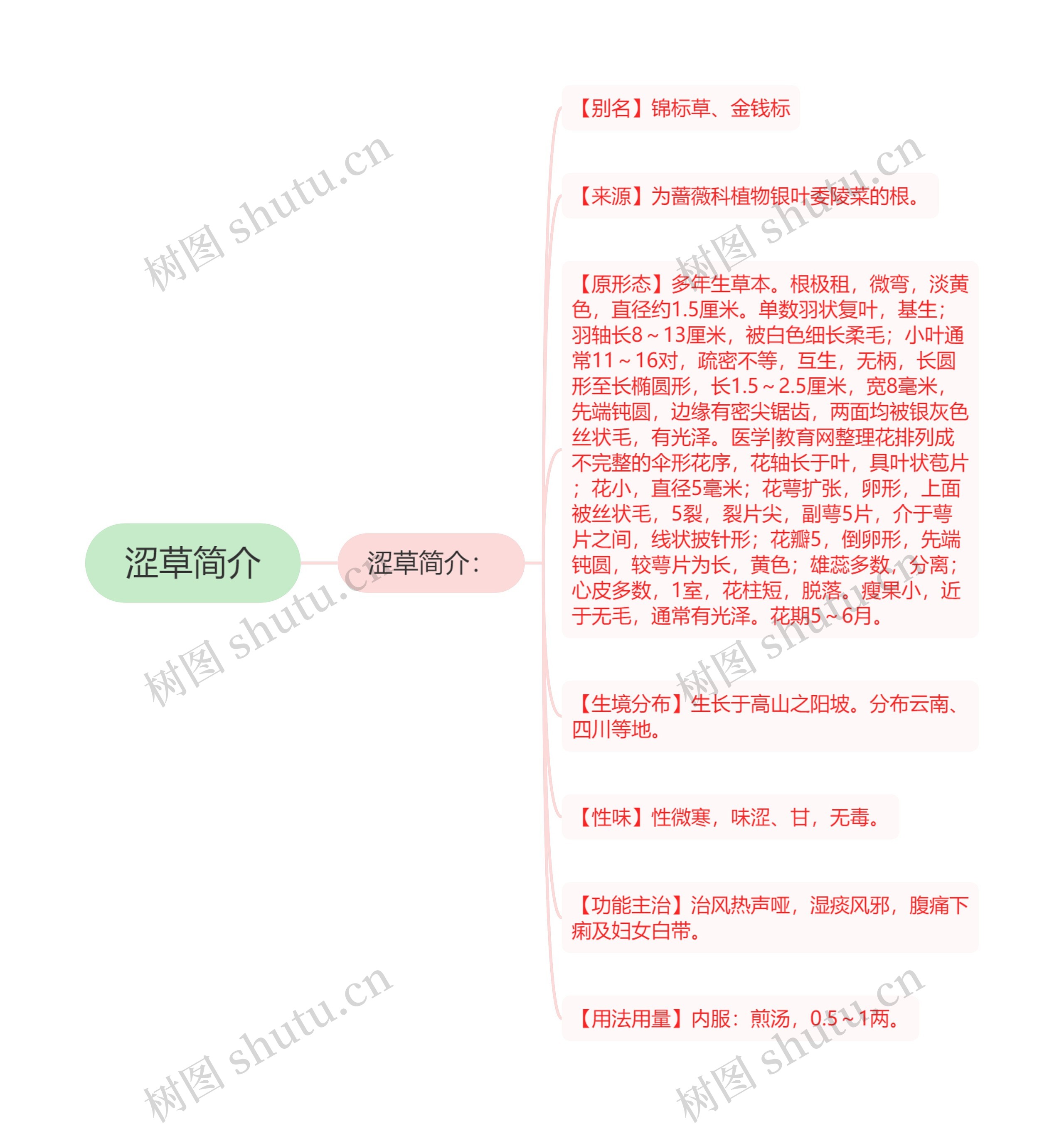 涩草简介思维导图