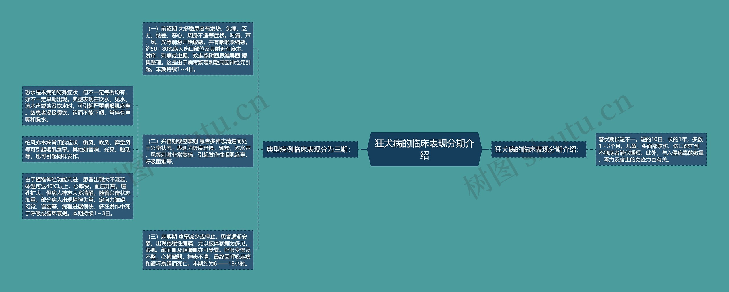 狂犬病的临床表现分期介绍思维导图