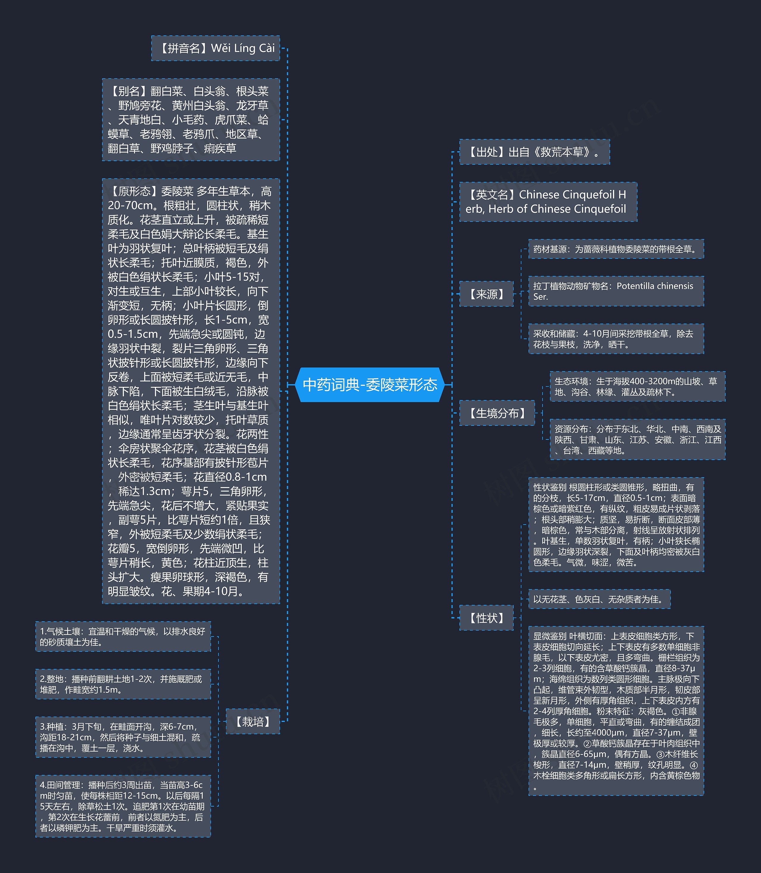 中药词典-委陵菜形态思维导图