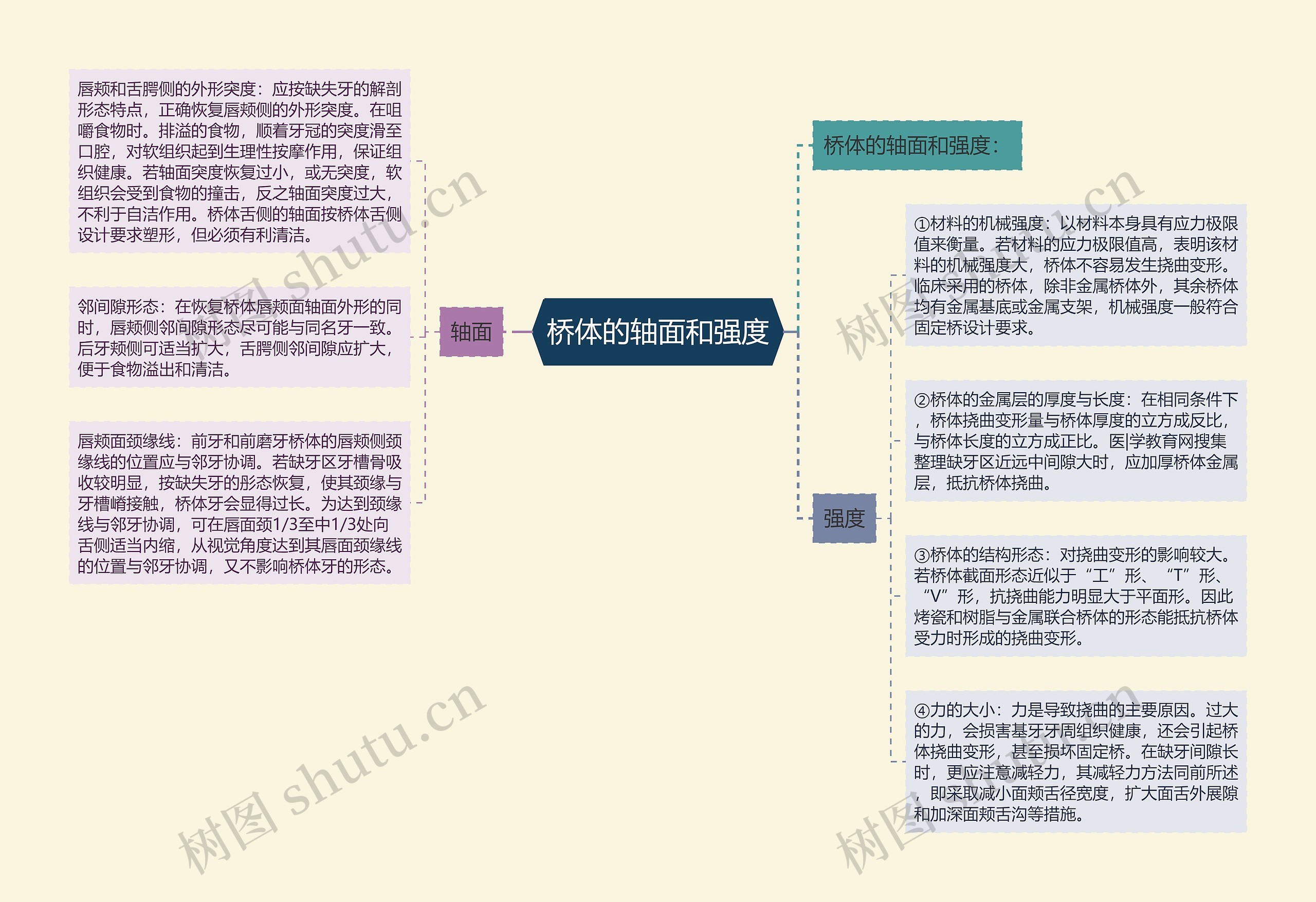 桥体的轴面和强度