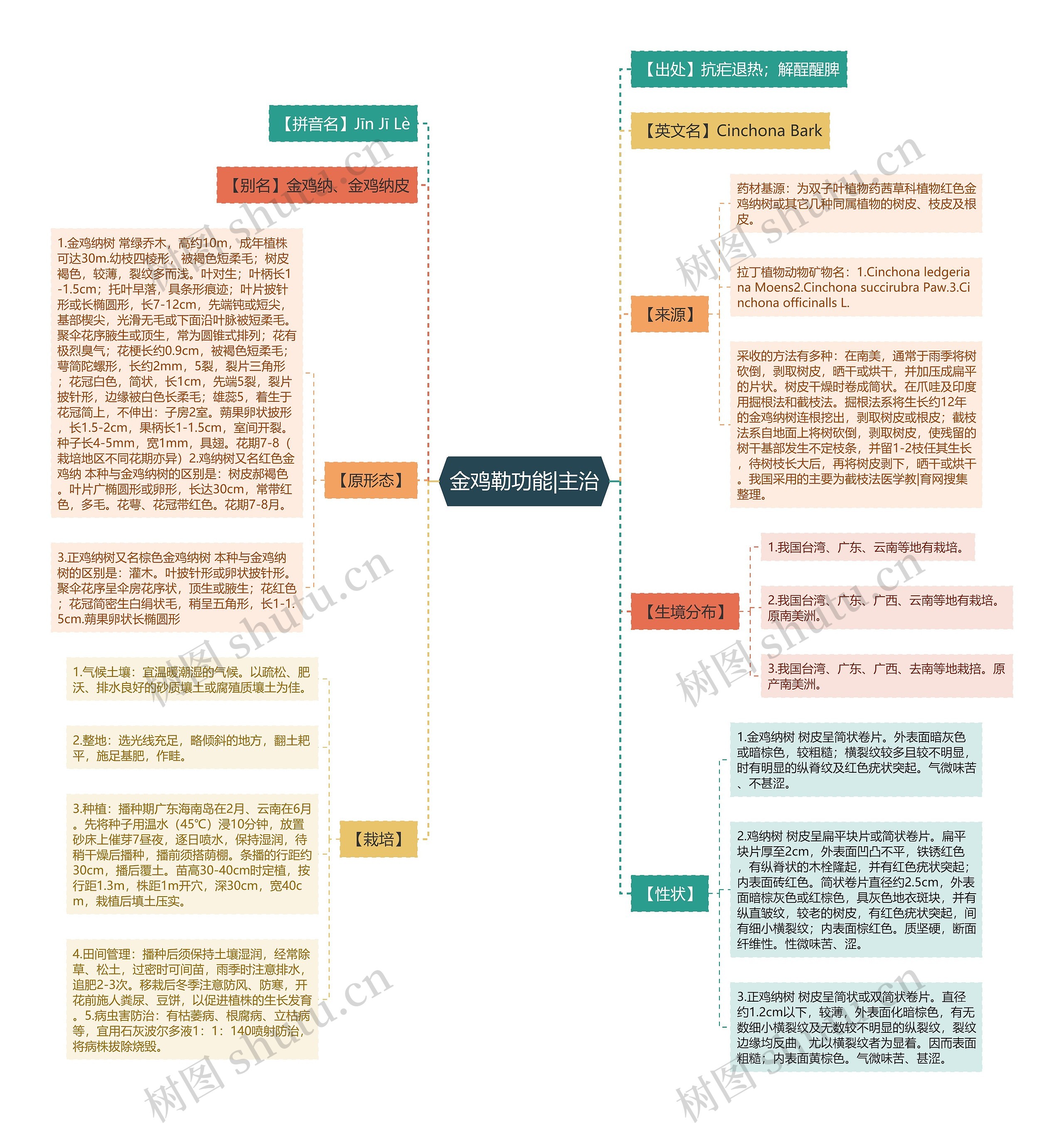 金鸡勒功能|主治思维导图