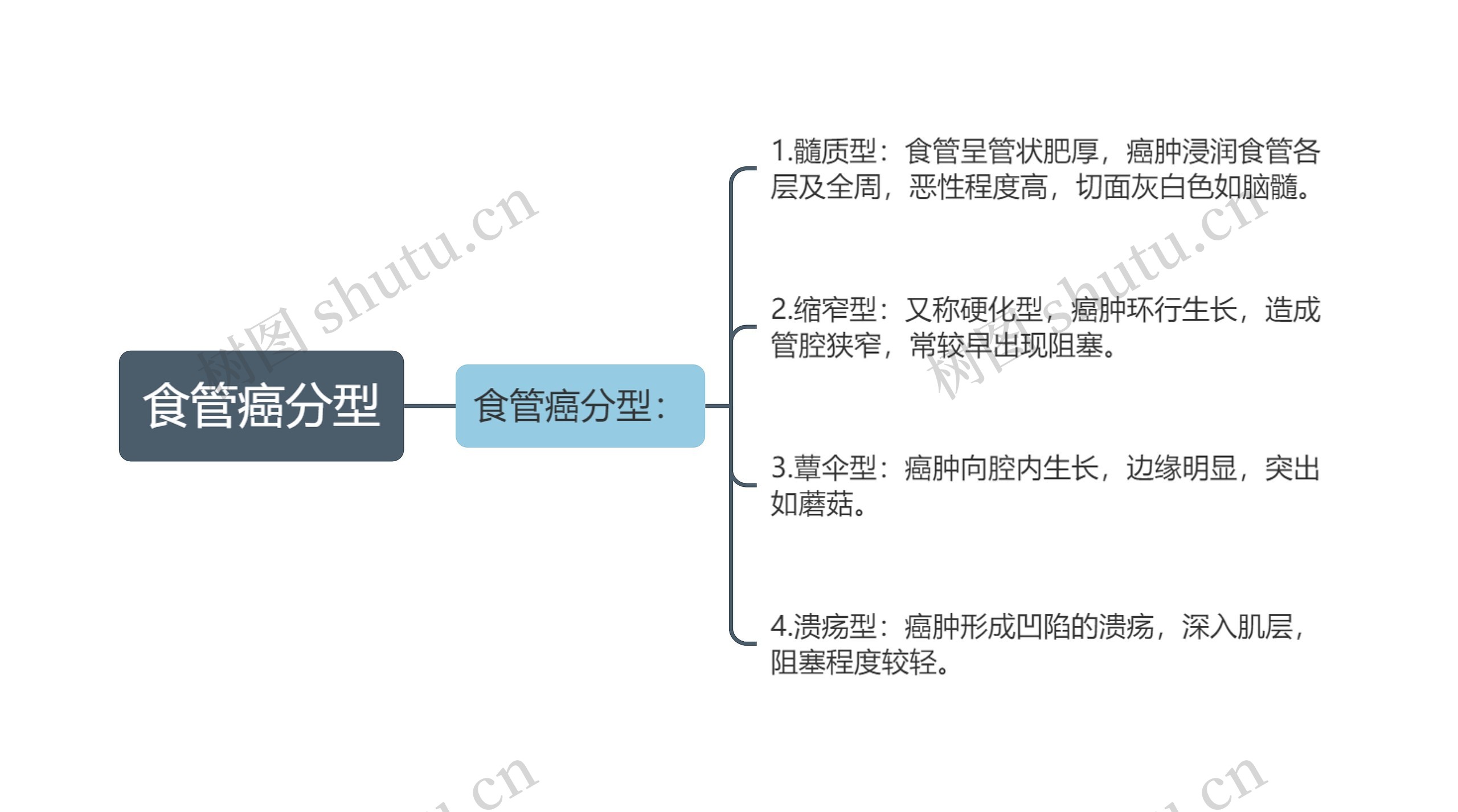 食管癌分型思维导图