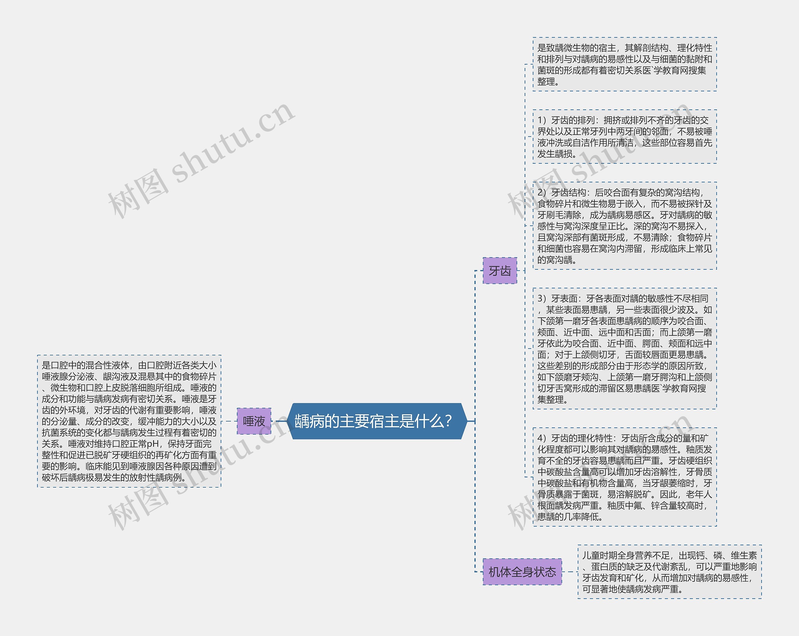 龋病的主要宿主是什么？