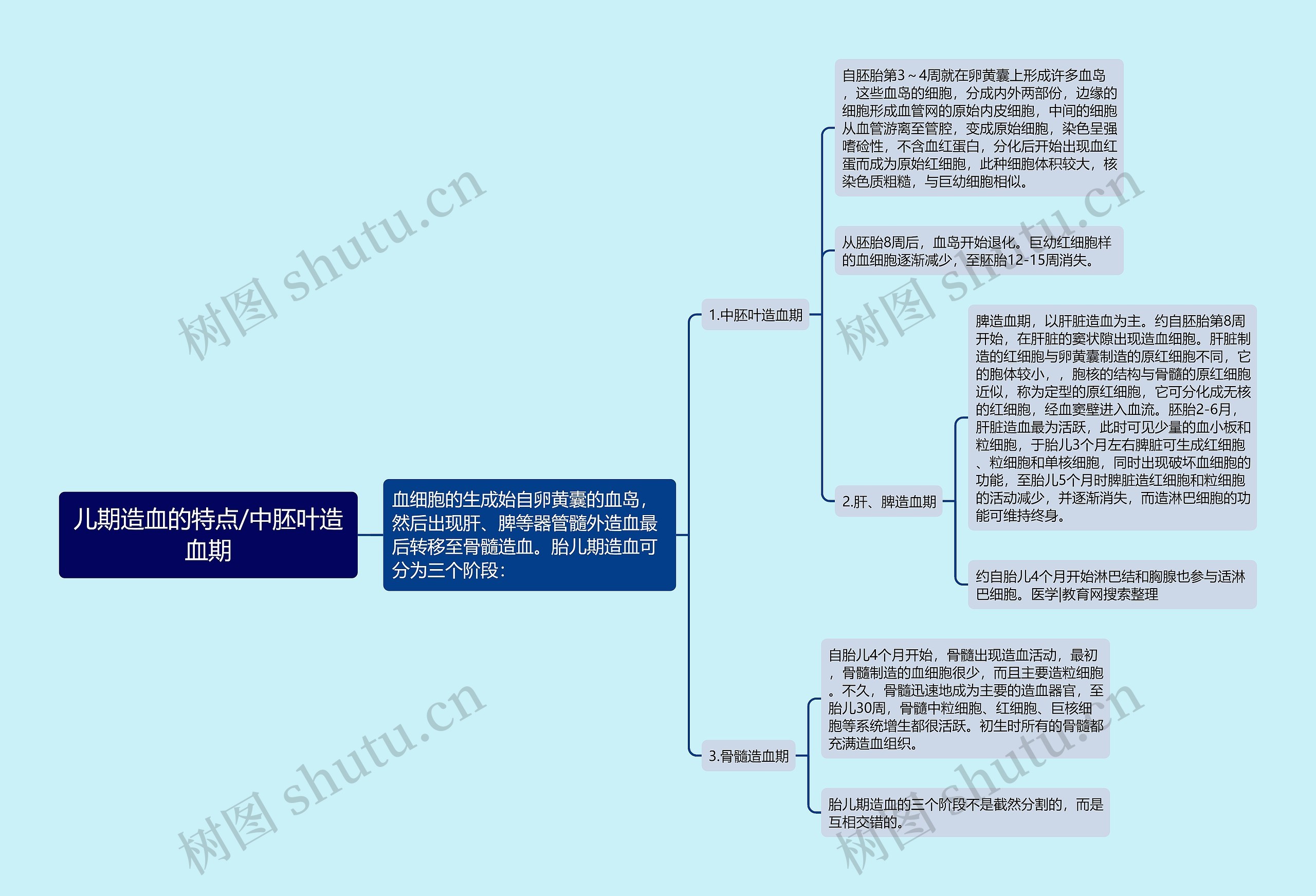 儿期造血的特点/中胚叶造血期思维导图