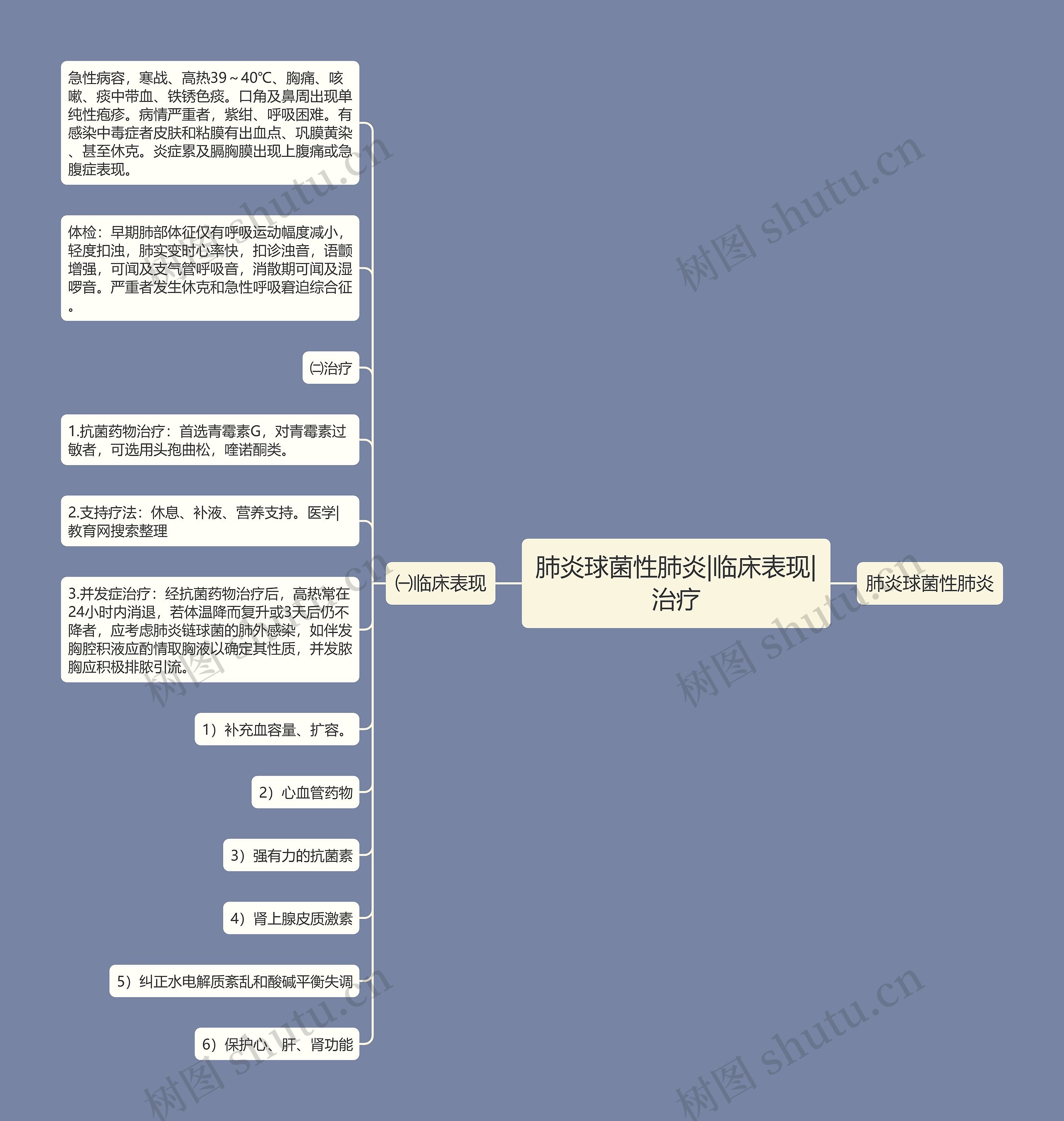 肺炎球菌性肺炎|临床表现|治疗思维导图