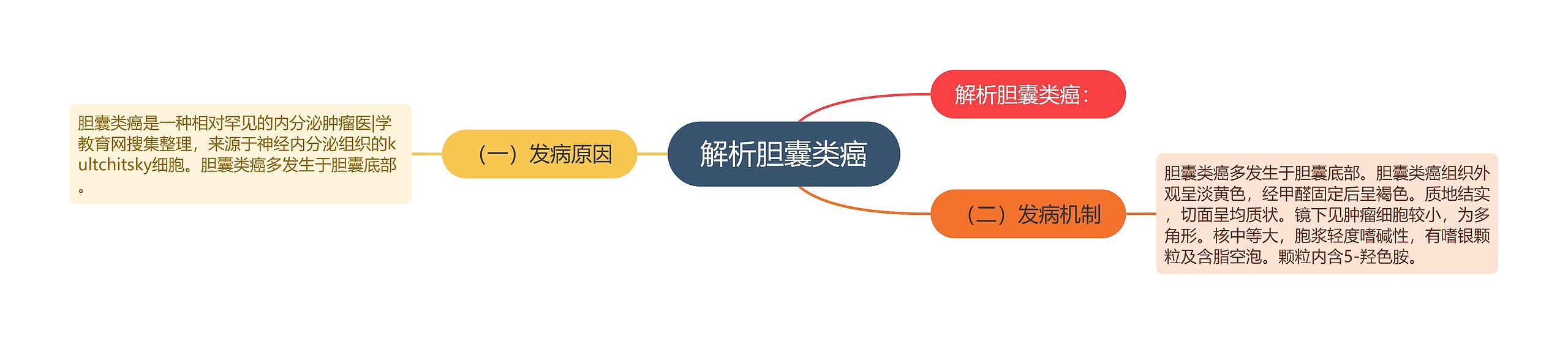 解析胆囊类癌 解析胆囊类癌