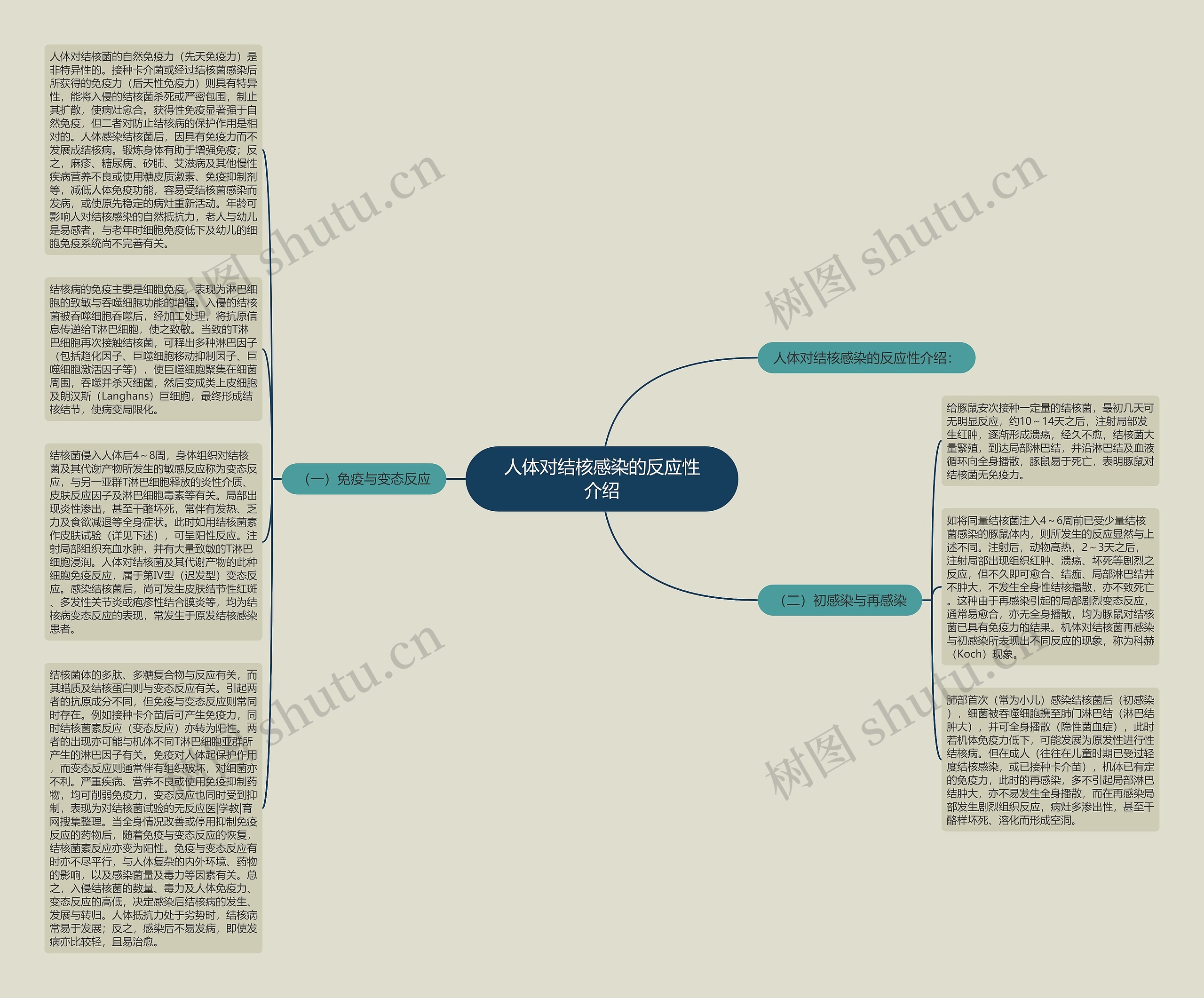 人体对结核感染的反应性介绍思维导图