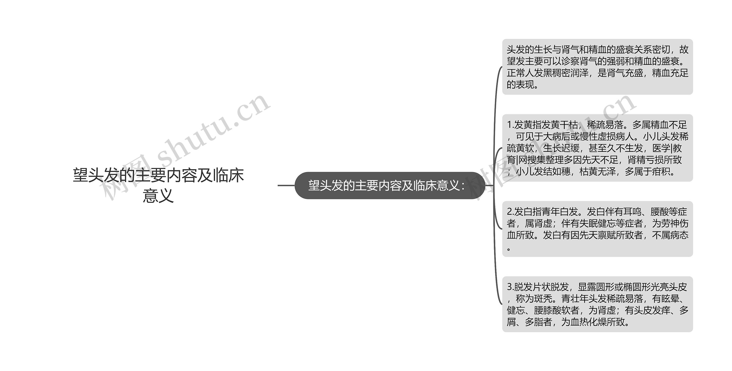 望头发的主要内容及临床意义思维导图