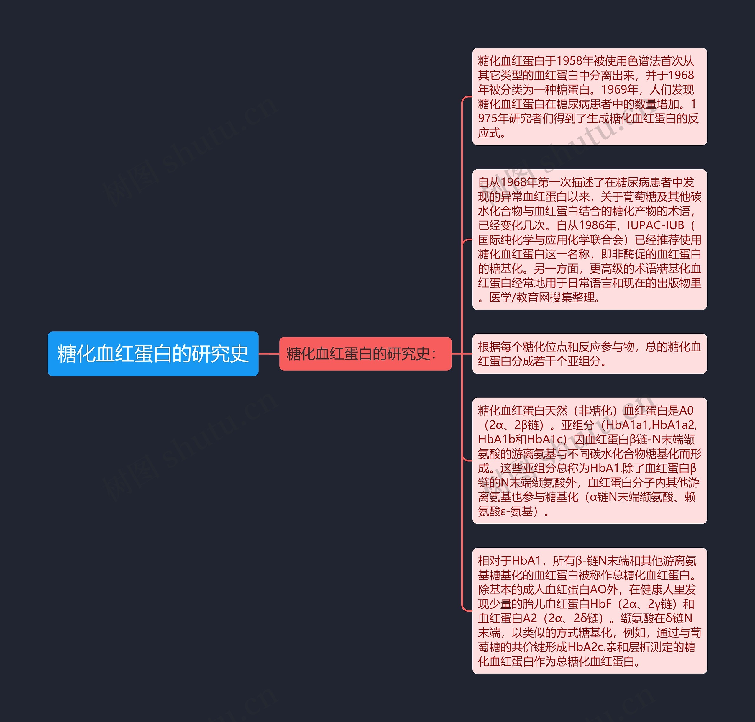 糖化血红蛋白的研究史思维导图