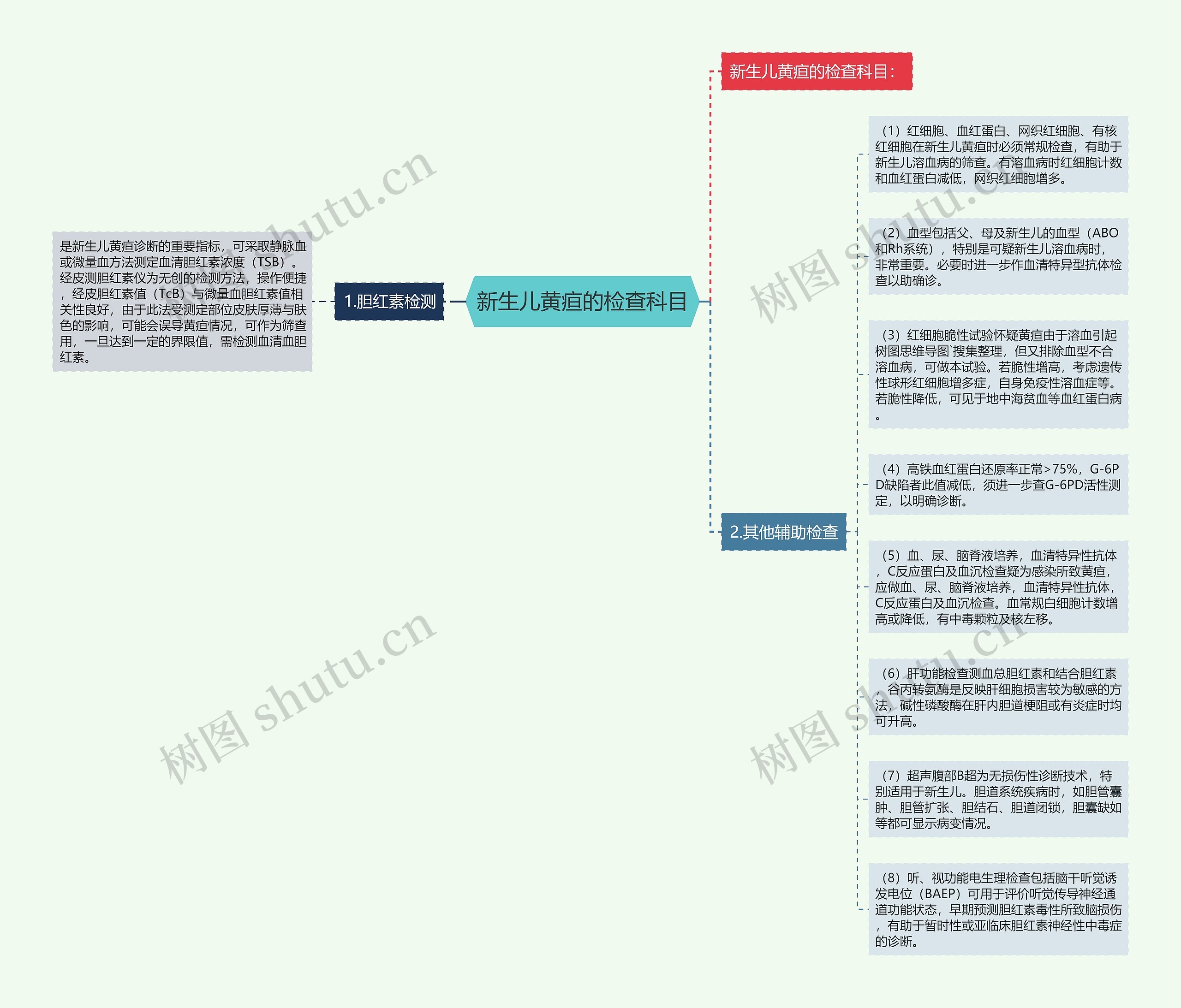 新生儿黄疸的检查科目思维导图