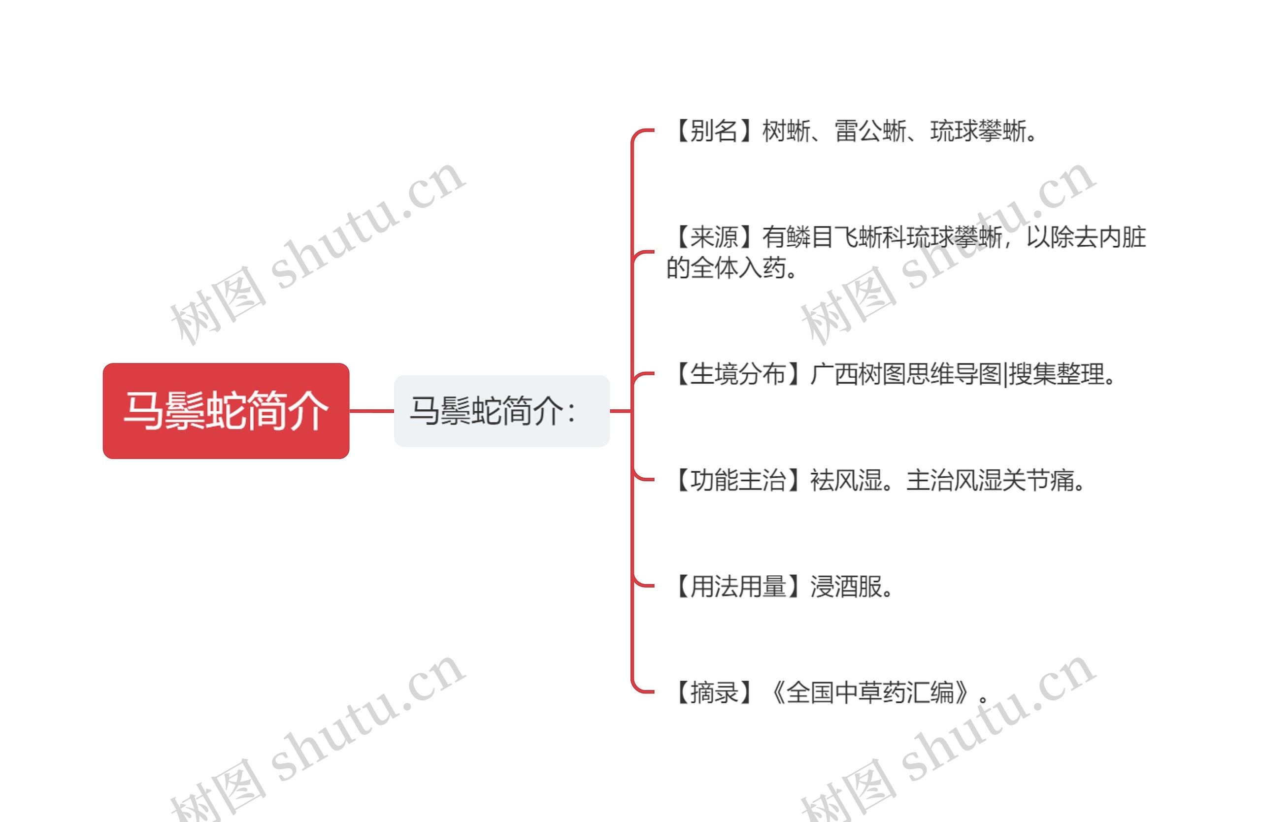 马鬃蛇简介