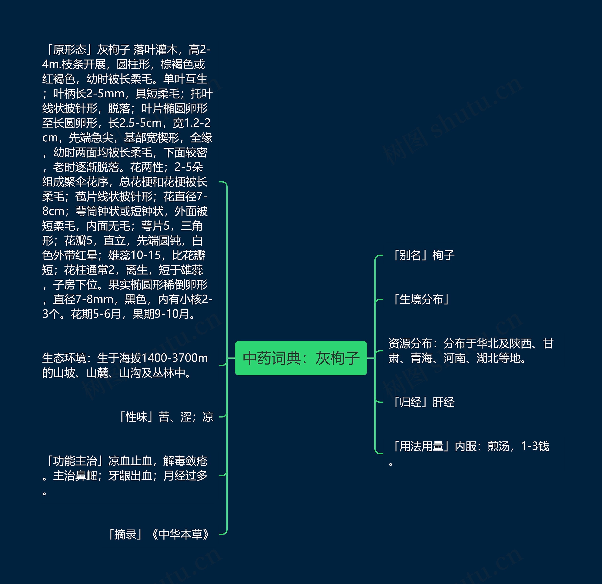 中药词典：灰栒子思维导图