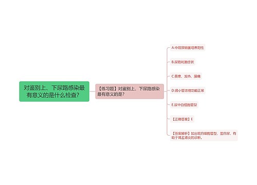 对鉴别上、下尿路感染最有意义的是什么检查？