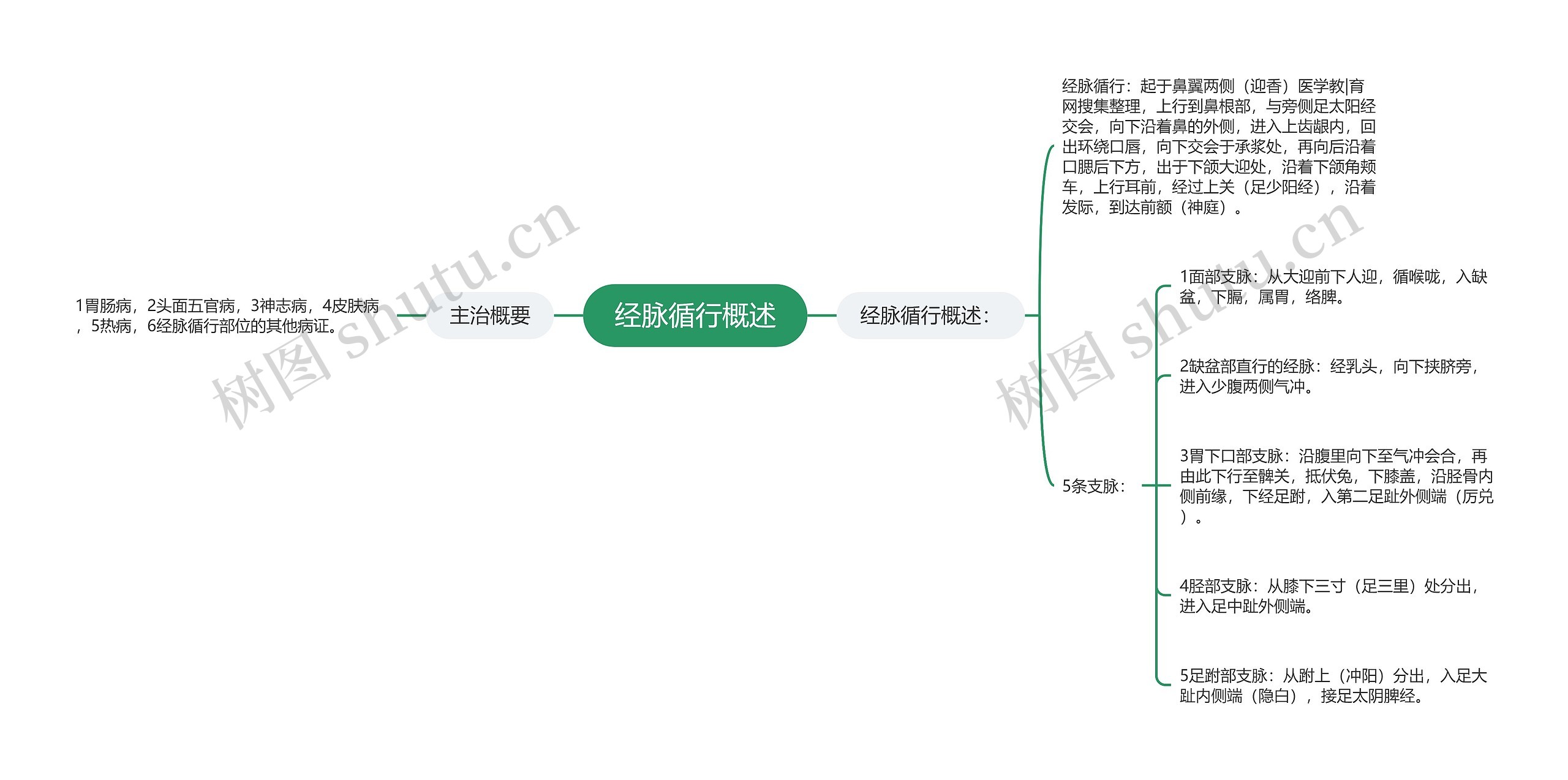 经脉循行概述思维导图