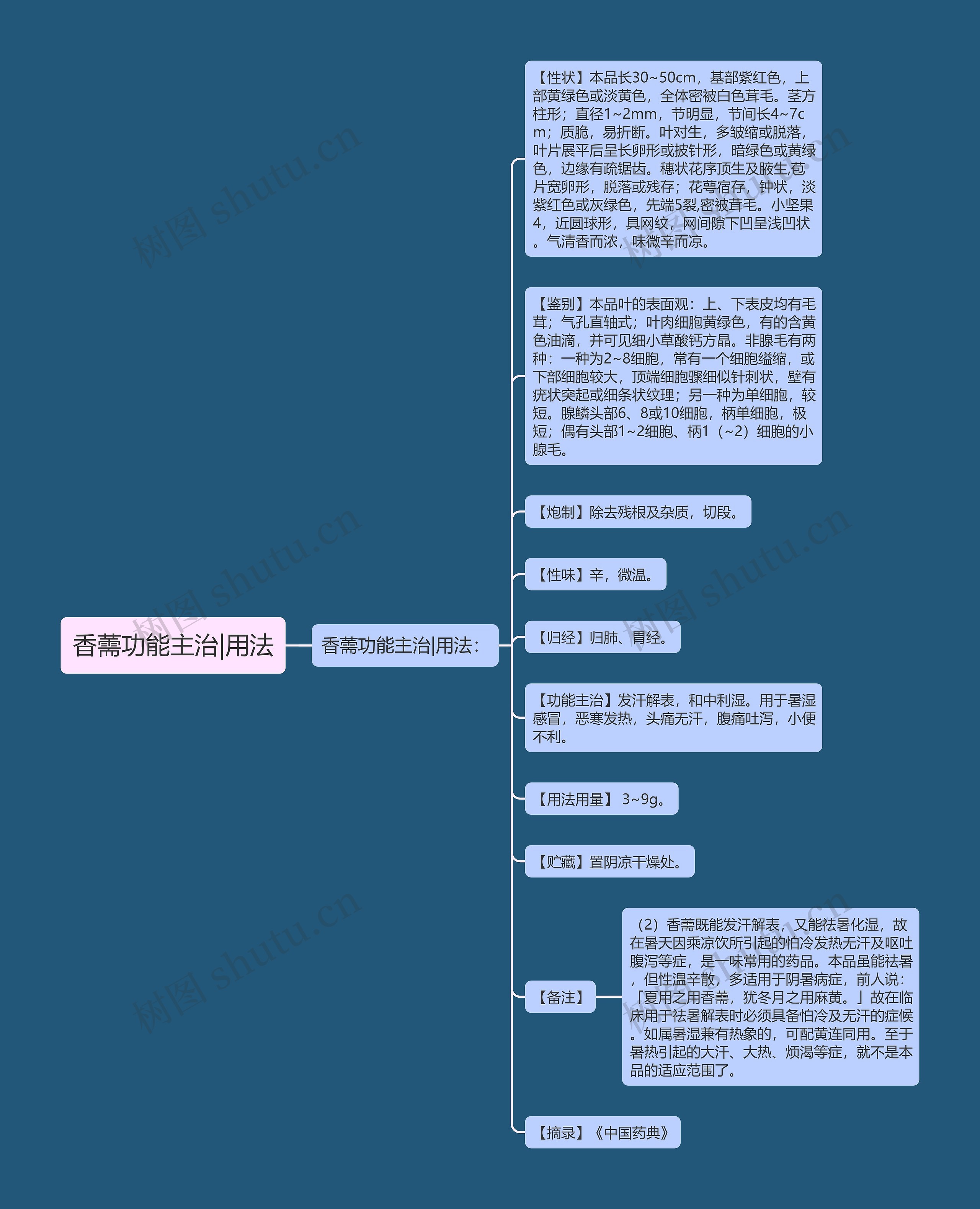 香薷功能主治|用法