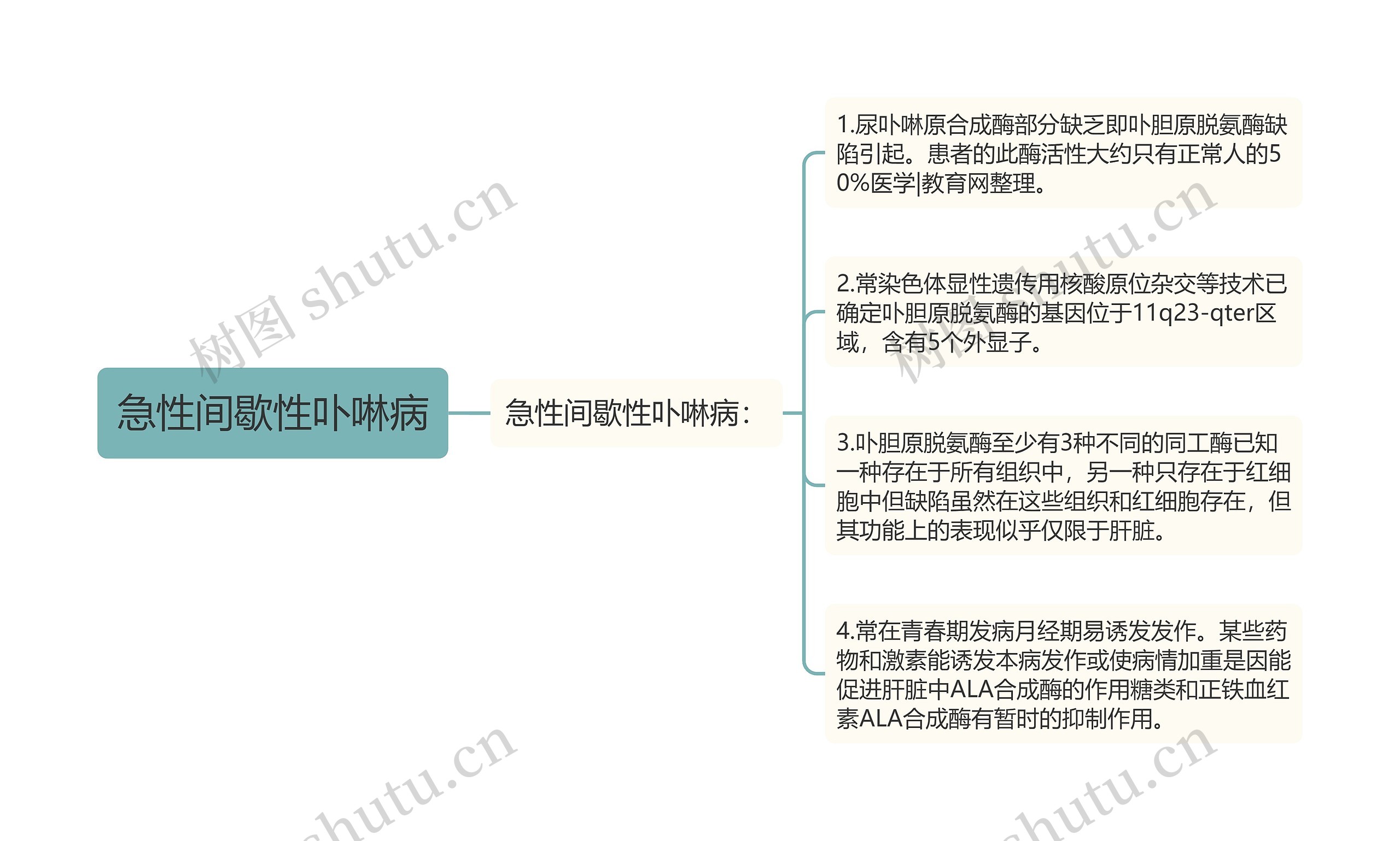 急性间歇性卟啉病思维导图