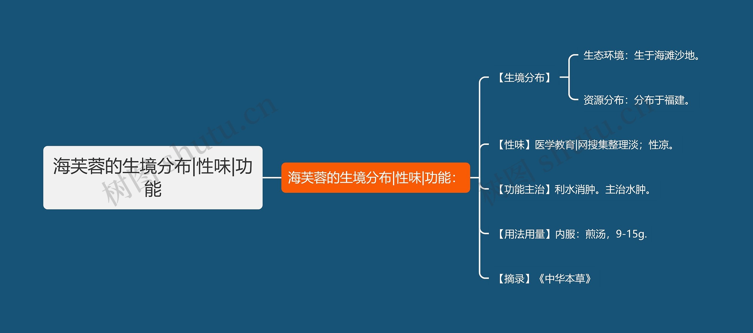 海芙蓉的生境分布|性味|功能思维导图