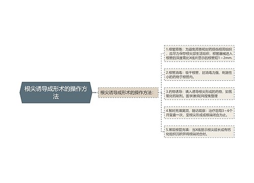 根尖诱导成形术的操作方法