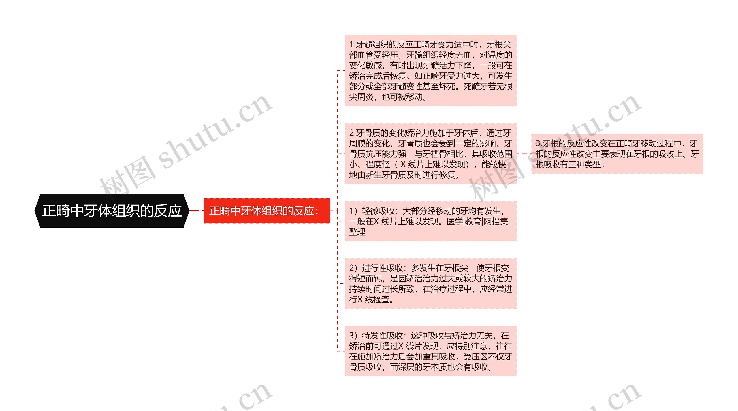 正畸中牙体组织的反应思维导图