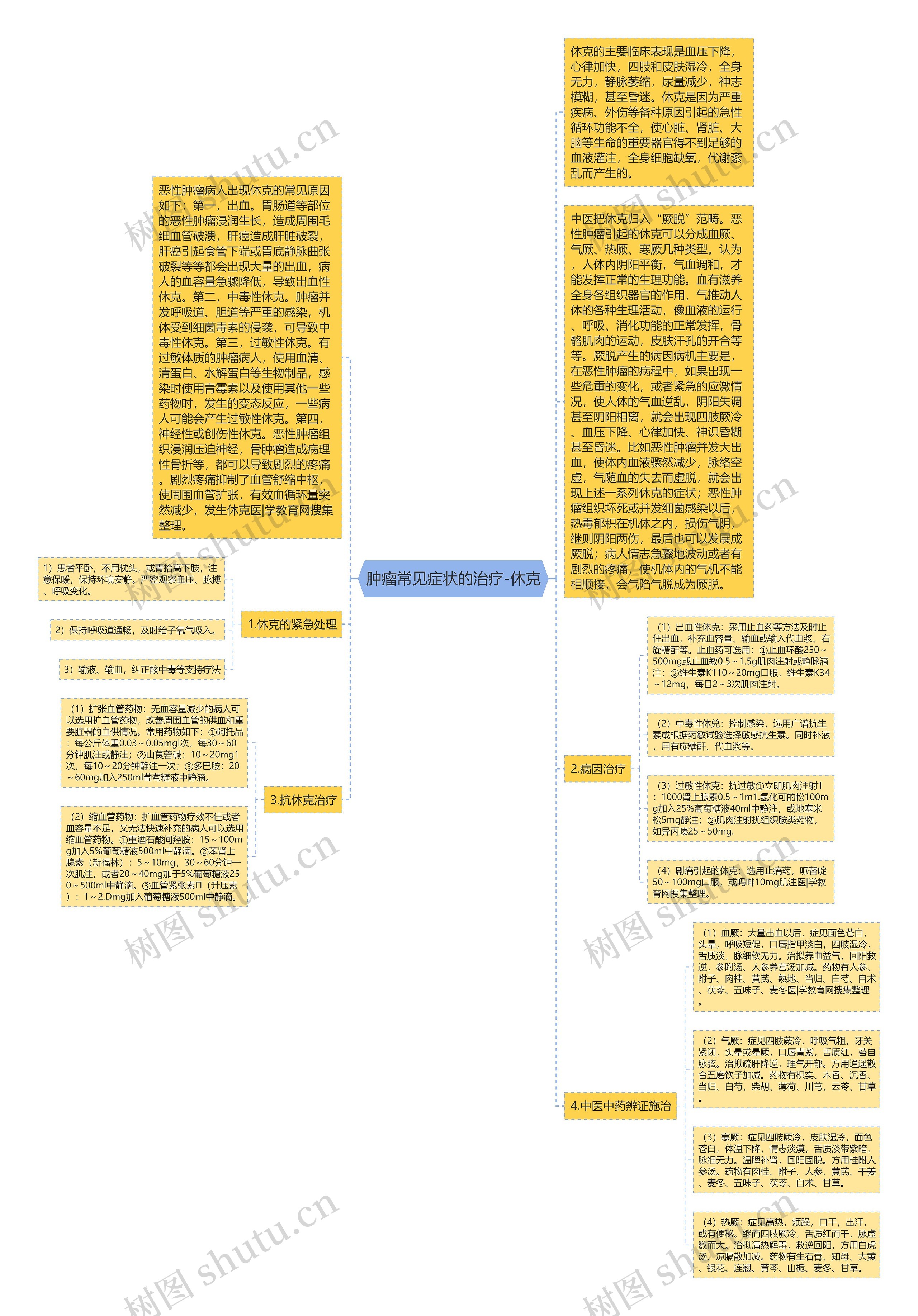 肿瘤常见症状的治疗-休克思维导图